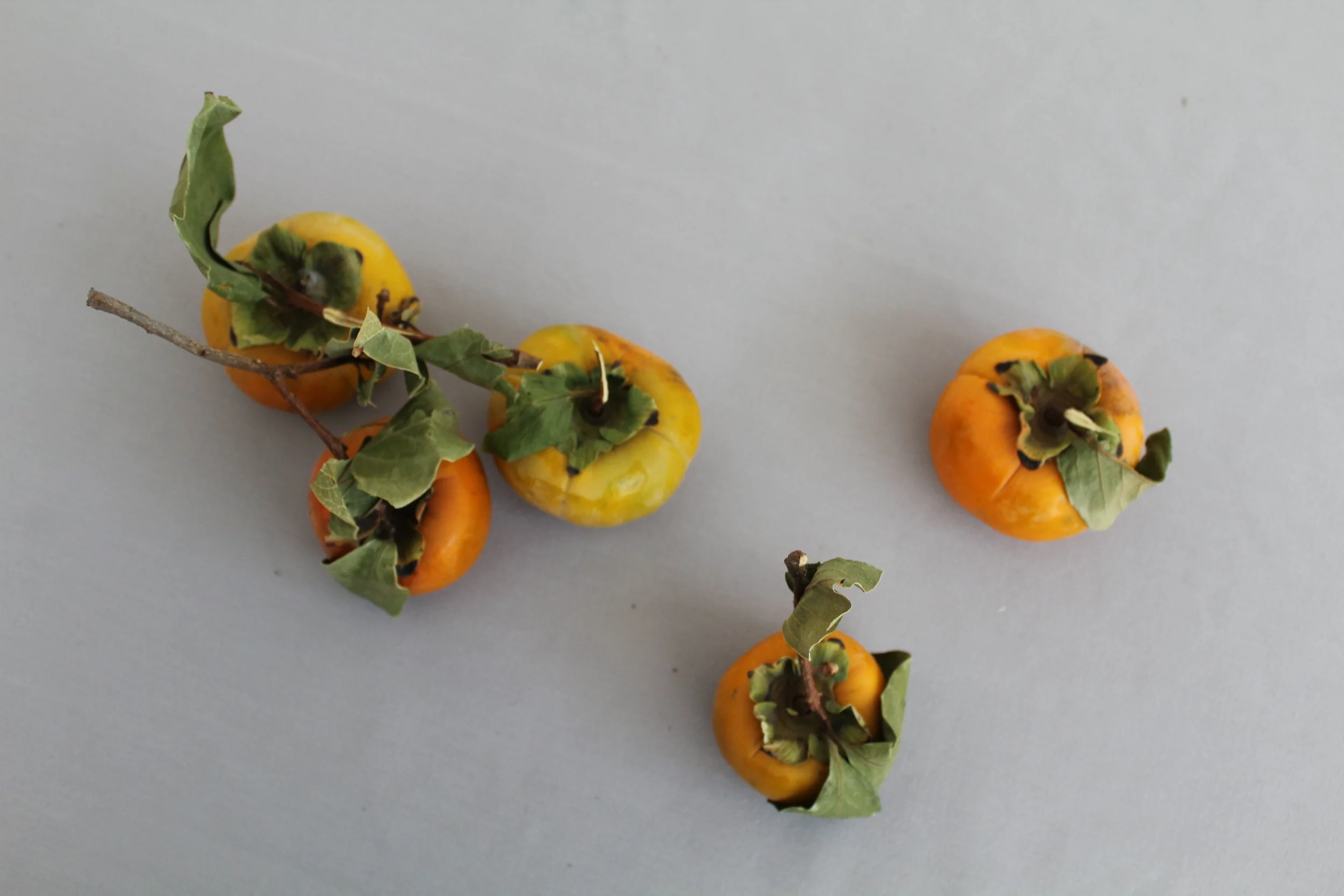 THANKSGIVING IS HERE