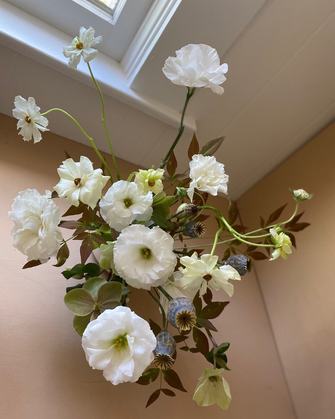 Vacation is always fun but the TO DO list when you get back to work SUCKS ⠀⠀⠀⠀⠀⠀⠀⠀⠀
⠀⠀⠀⠀⠀⠀⠀⠀⠀
⠀⠀⠀⠀⠀⠀⠀⠀⠀
 #flowerdelivery #flowerdeliverysf #flowerdeliveryoakland #flowerdeliverygrassvalley #flowerdeliverycovid #bouquets #flowershops #sendflowers #spr