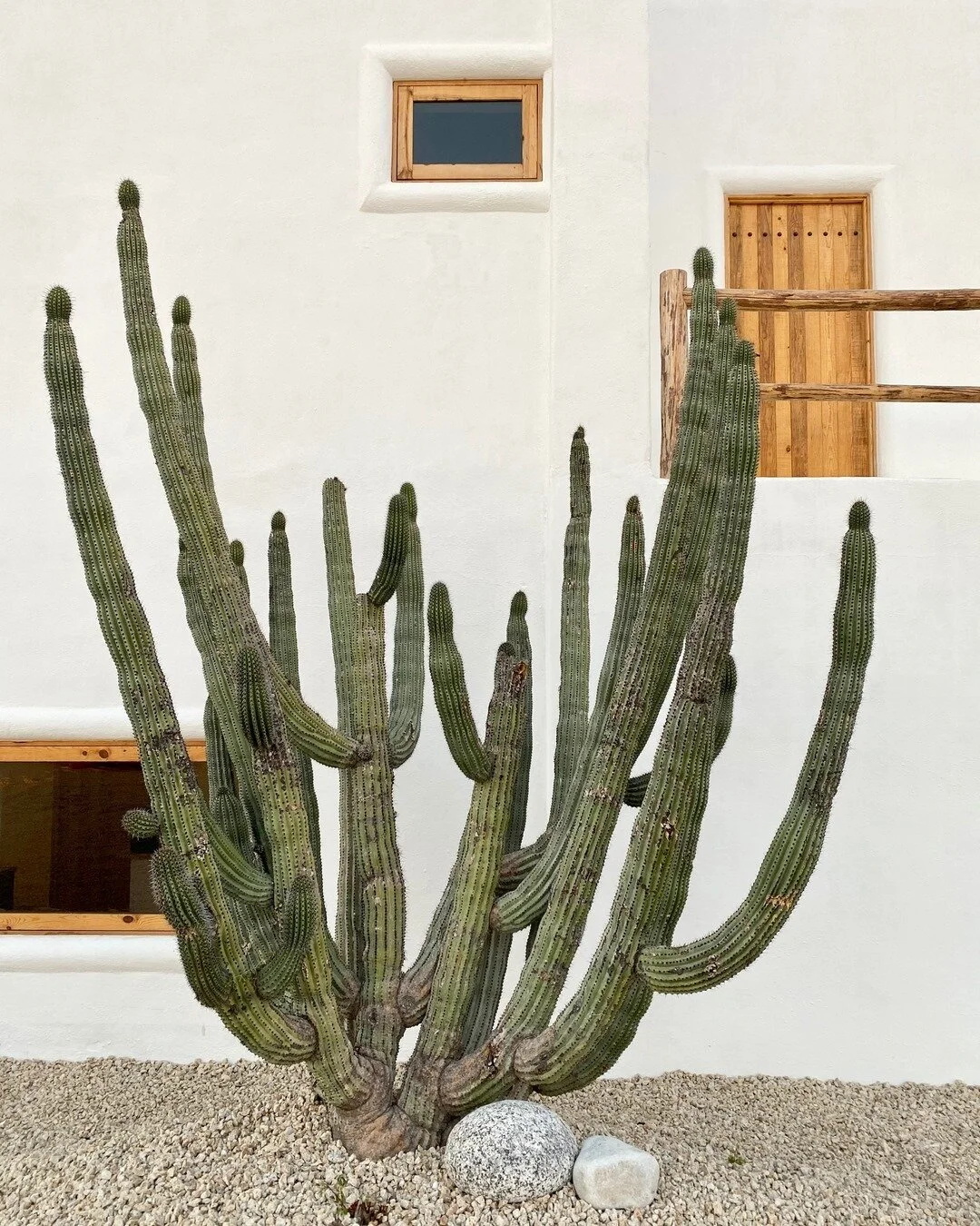 A few words I don&rsquo;t want to hear in 2021⠀⠀⠀⠀⠀⠀⠀⠀⠀
1. Covid⠀⠀⠀⠀⠀⠀⠀⠀⠀
2. Quarantine ⠀⠀⠀⠀⠀⠀⠀⠀⠀
3. Vaccine ⠀⠀⠀⠀⠀⠀⠀⠀⠀
4. Trump⠀⠀⠀⠀⠀⠀⠀⠀⠀
5. Cancellation⠀⠀⠀⠀⠀⠀⠀⠀⠀
6. Postpone⠀⠀⠀⠀⠀⠀⠀⠀⠀
7. Reschedule⠀⠀⠀⠀⠀⠀⠀⠀⠀
8. Refund⠀⠀⠀⠀⠀⠀⠀⠀⠀
9. Pod⠀⠀⠀⠀⠀⠀⠀⠀⠀
10. Mask 