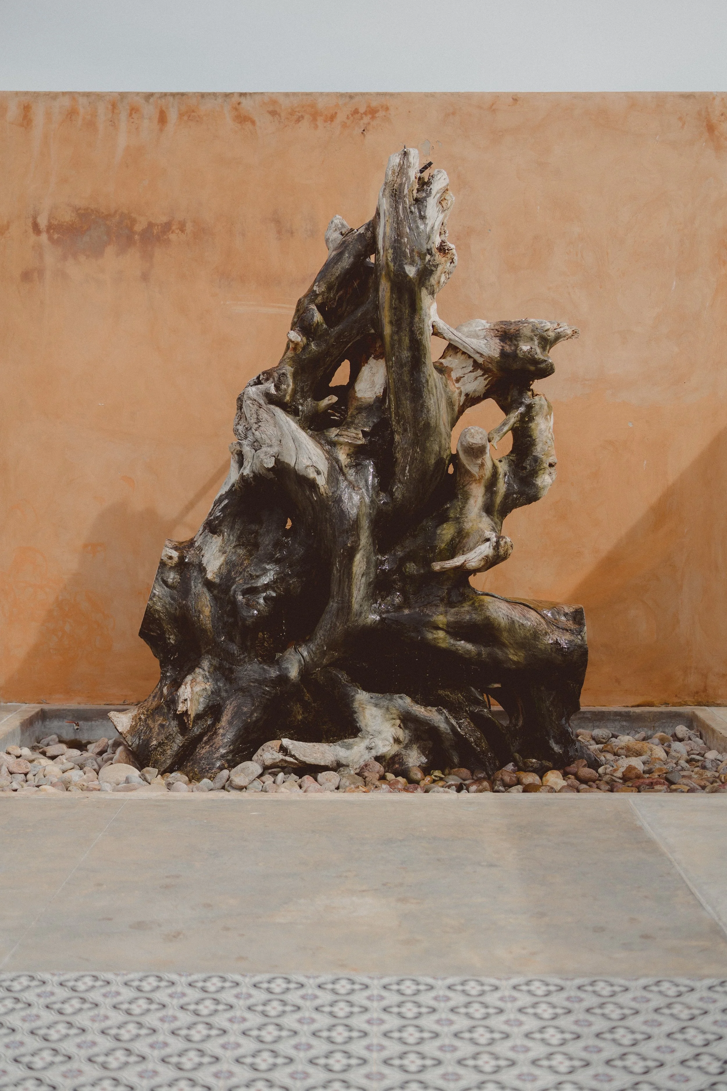 Finca37.jpg