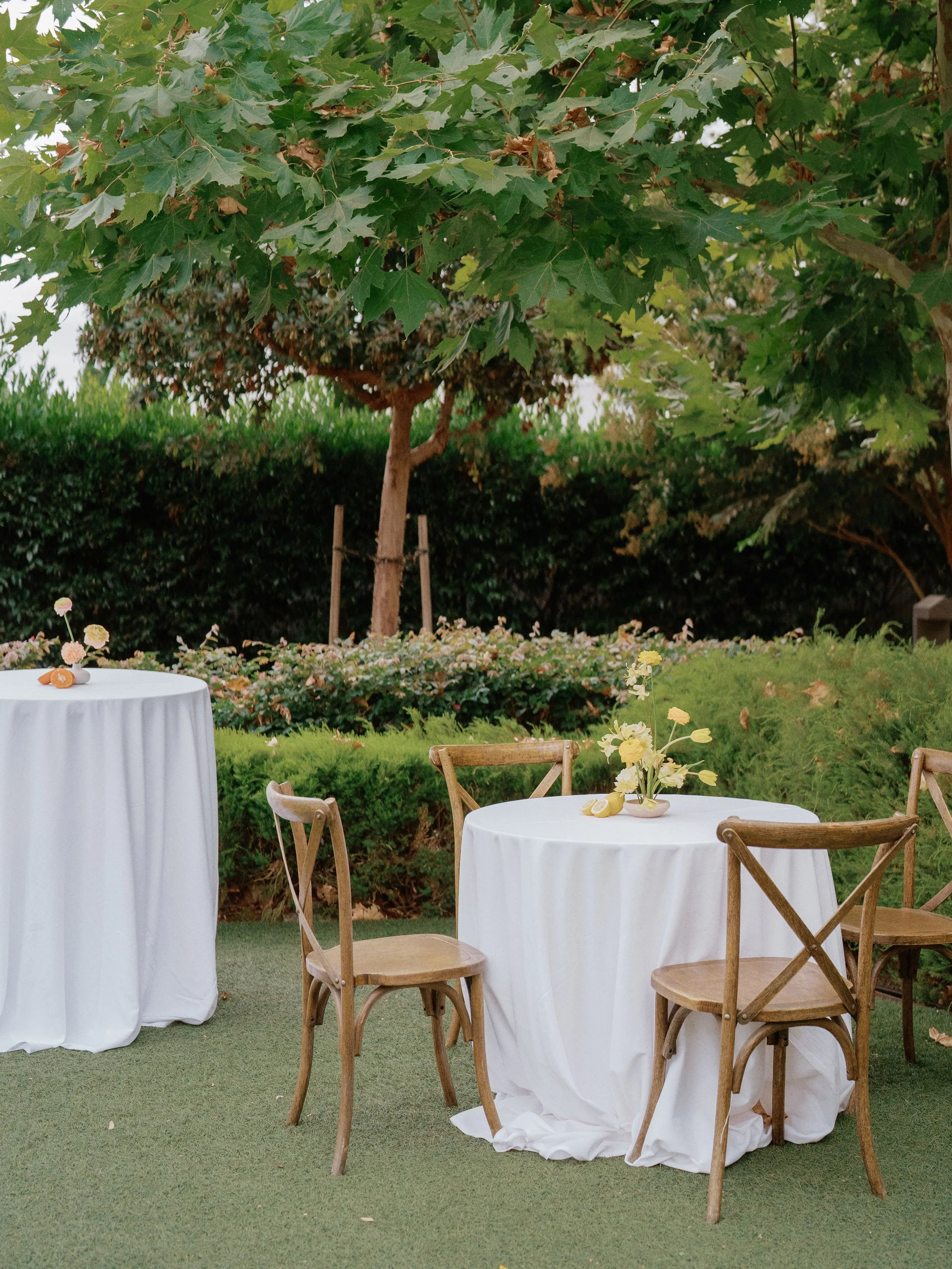 Kirsten+NishantCarnerosResortSonomaNapaWeddingCassieValentePhotography0267.JPG