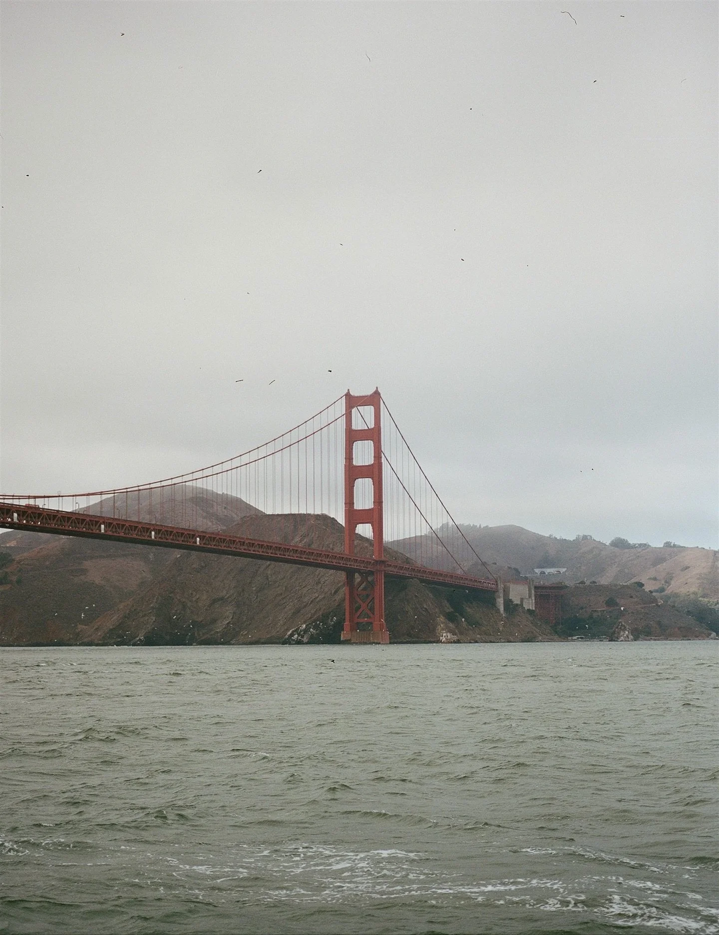 The perfect San Francisco wedding

Photo @allison__stoddard 
Venue @bungalowkitchentiburon