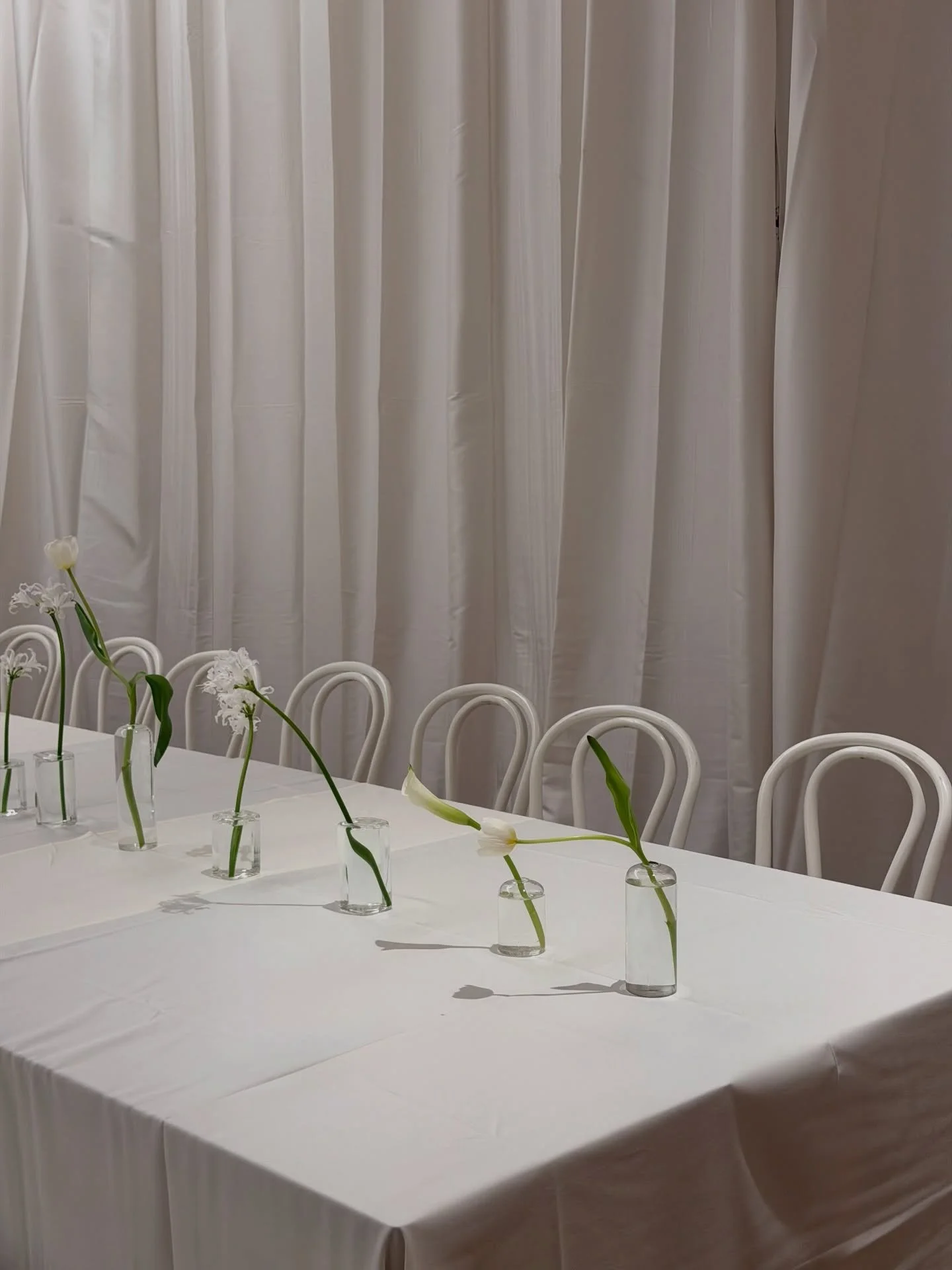 Cloud dancer szn is OFFICIALLY here

Pantone called it for 2026 and we&rsquo;ve been ready. white on white? we say make it editorial.

Bud vases creating shadows like mini art installations. Stacked white florals that actually have texture (boring wh