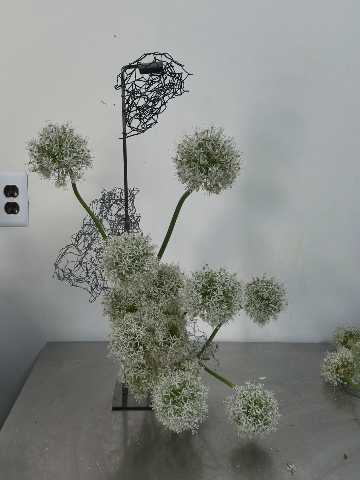 Last spring in the studio, I was playing with this stacked allium piece. Ran out of alliums and filled in with ferns, proving that sometimes, the unexpected makes the best statement.

Can&rsquo;t wait to get back into the studio