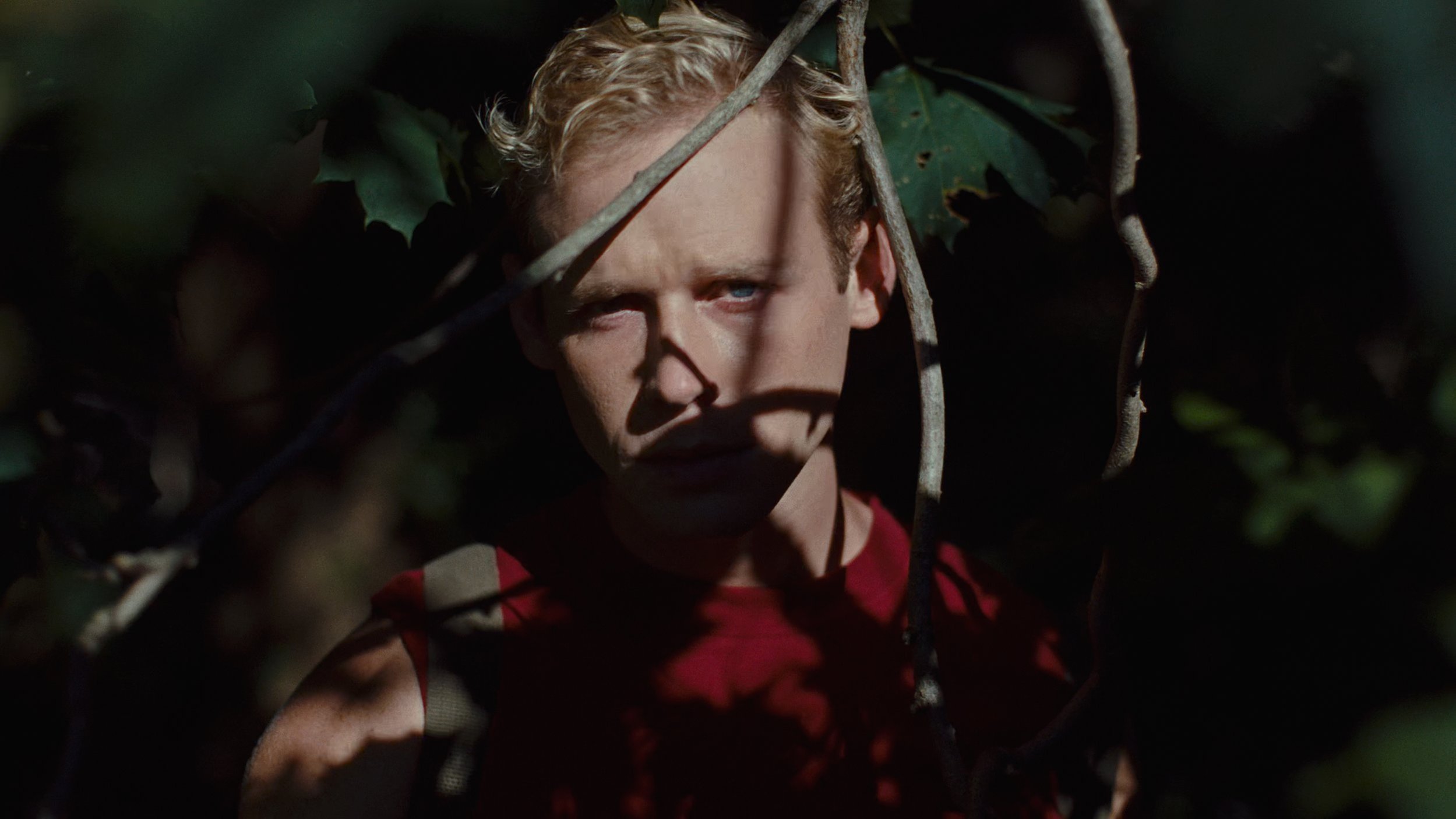 Close-up of a person with blonde hair in a red shirt, partially obscured by tree branches and leaves, with shadows cast on their face.