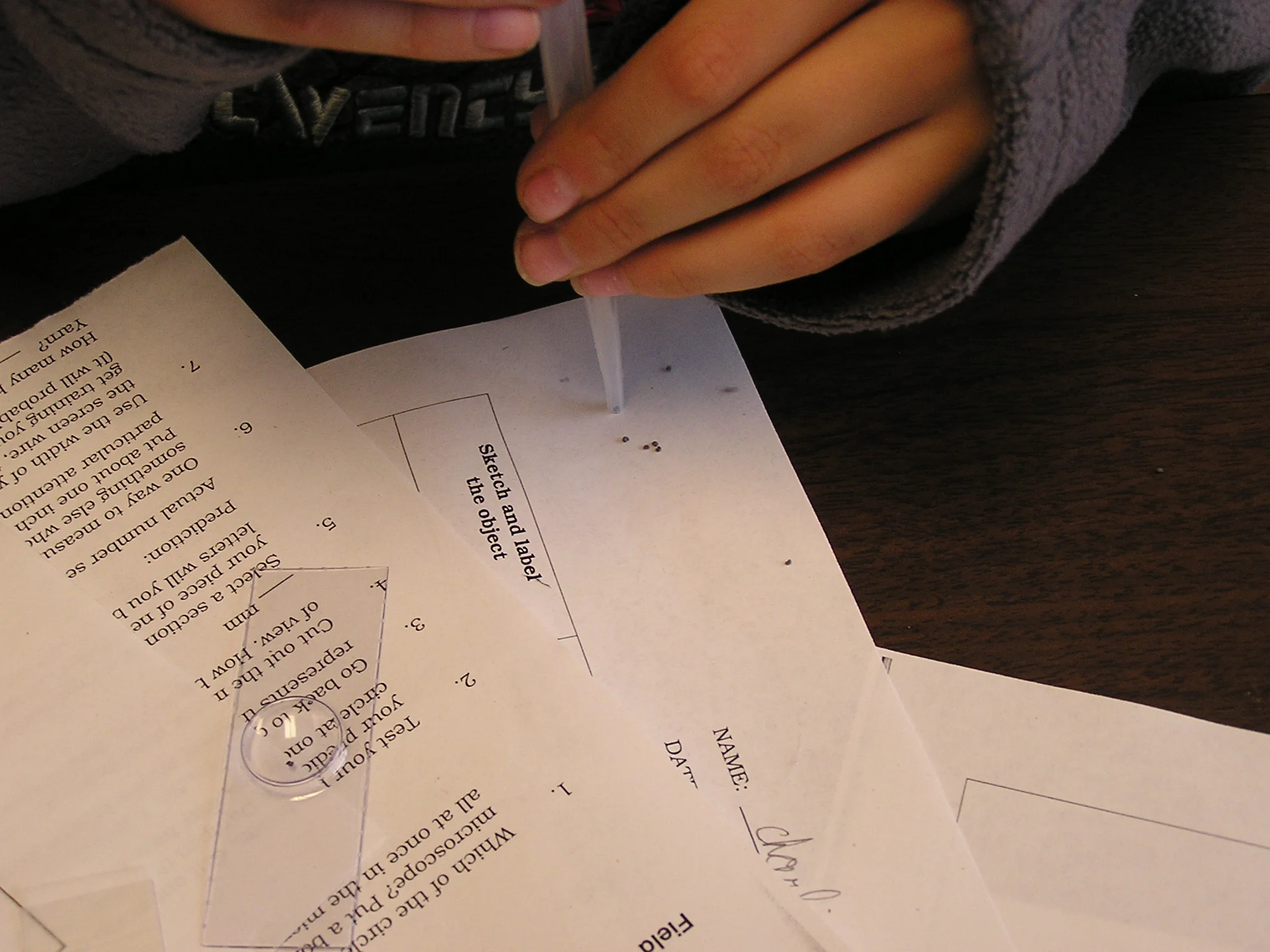 P1010096.JPG