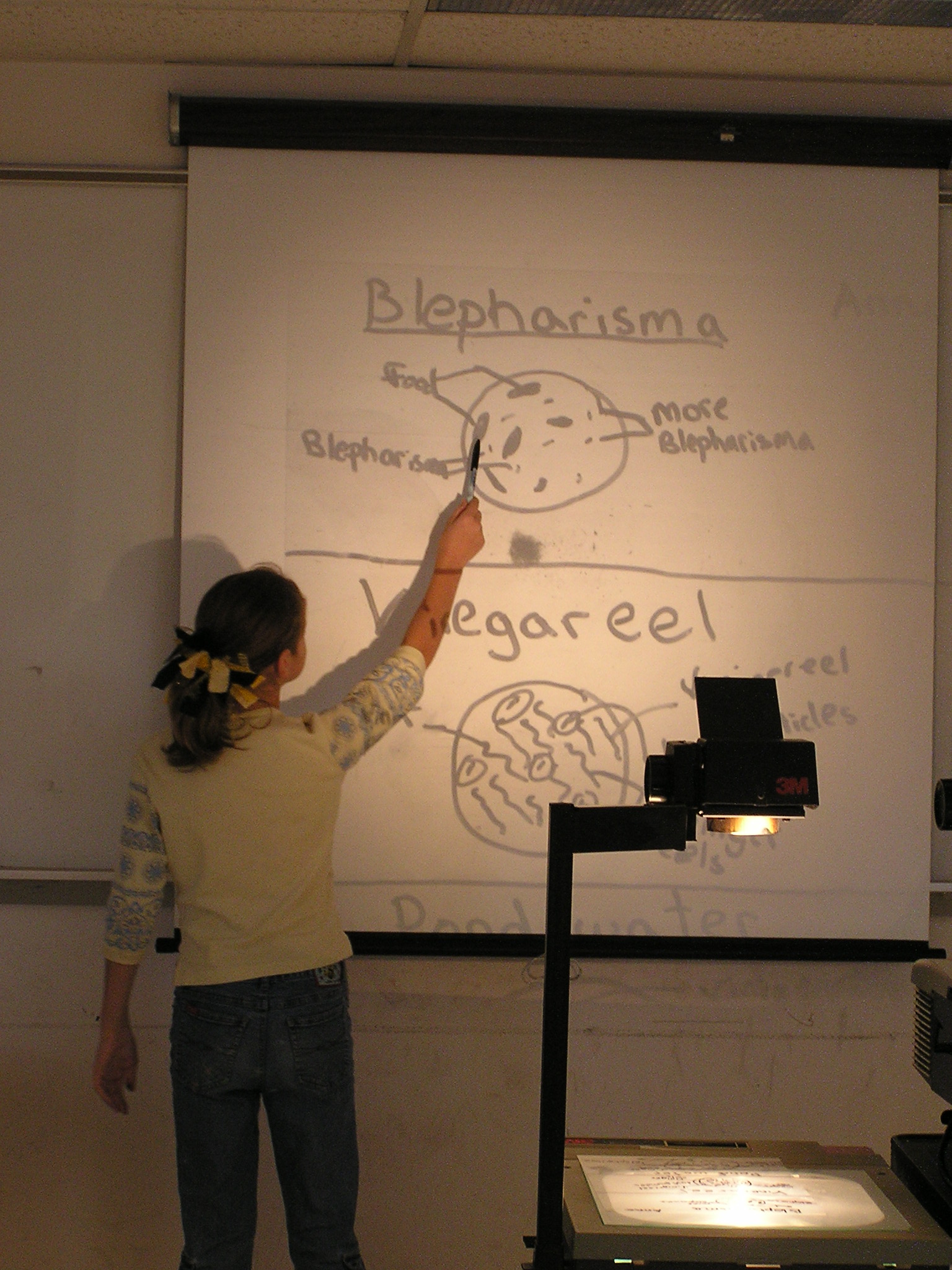 P1010043.JPG