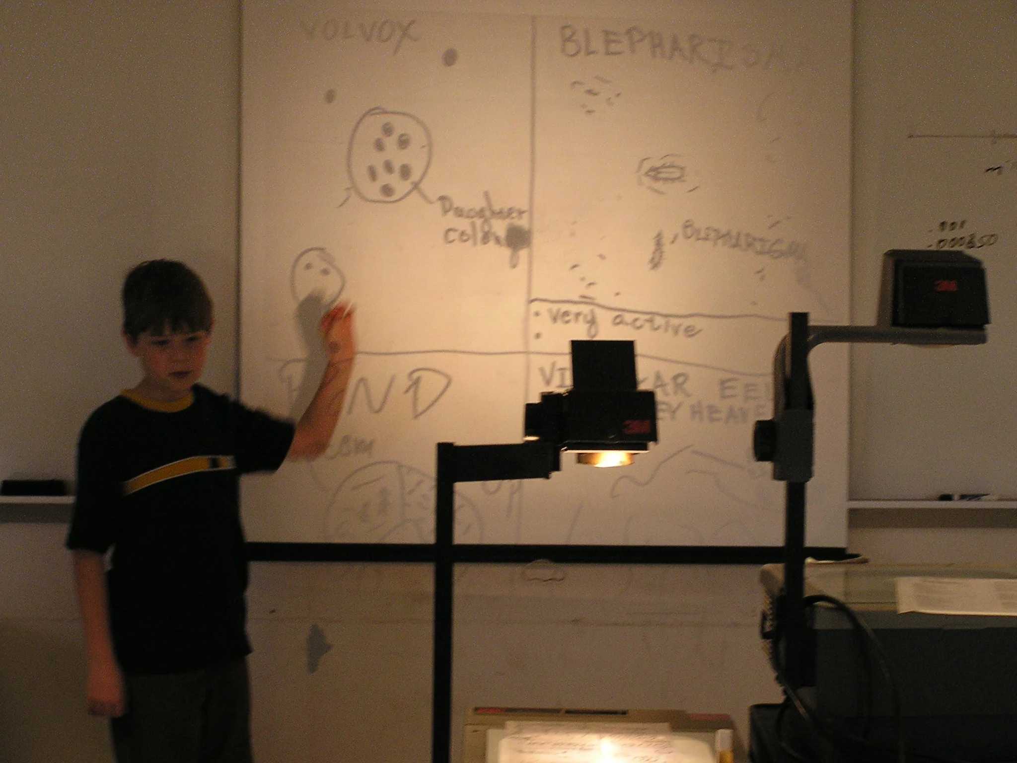 P1010052.JPG