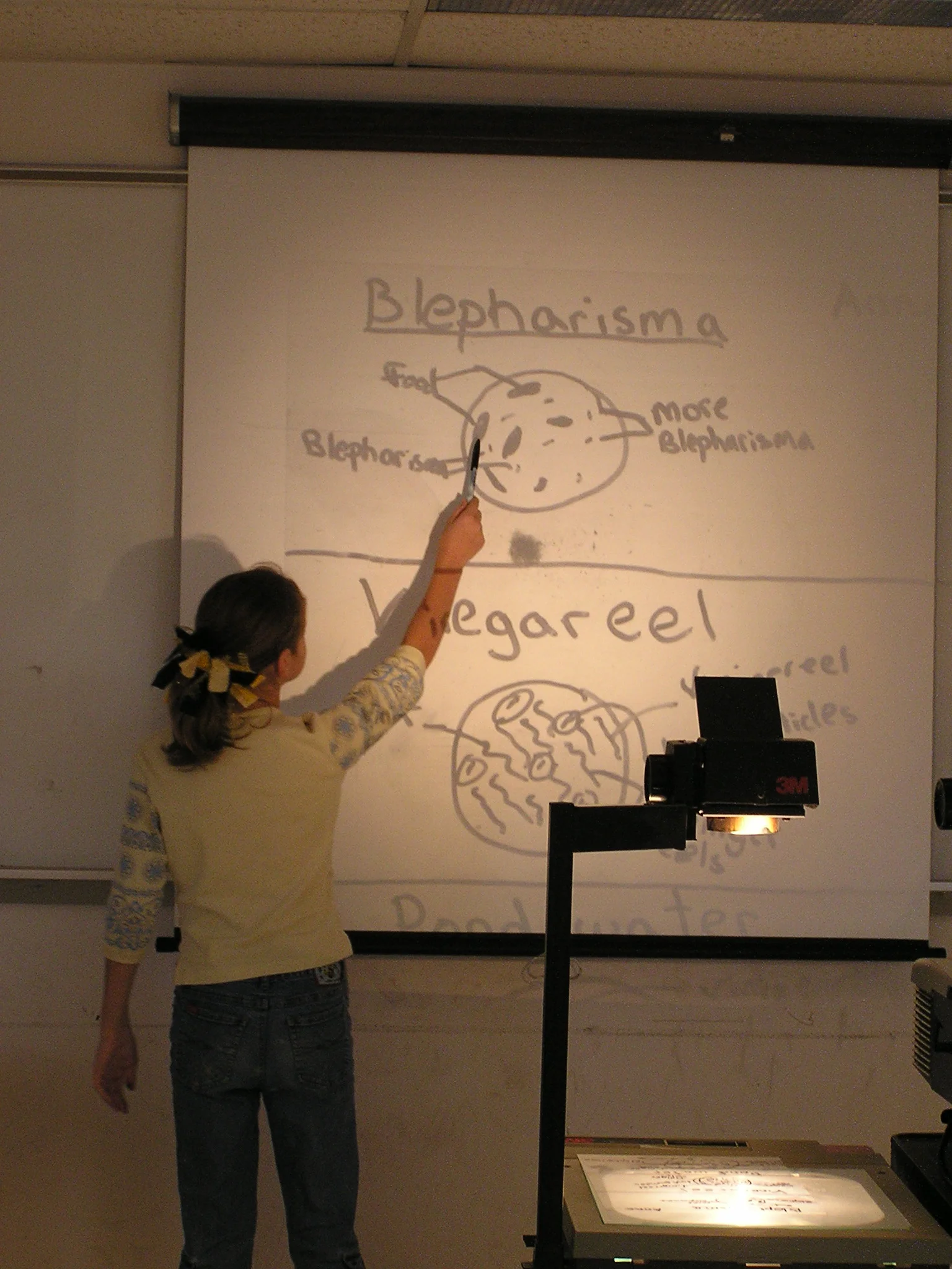 P1010043.JPG