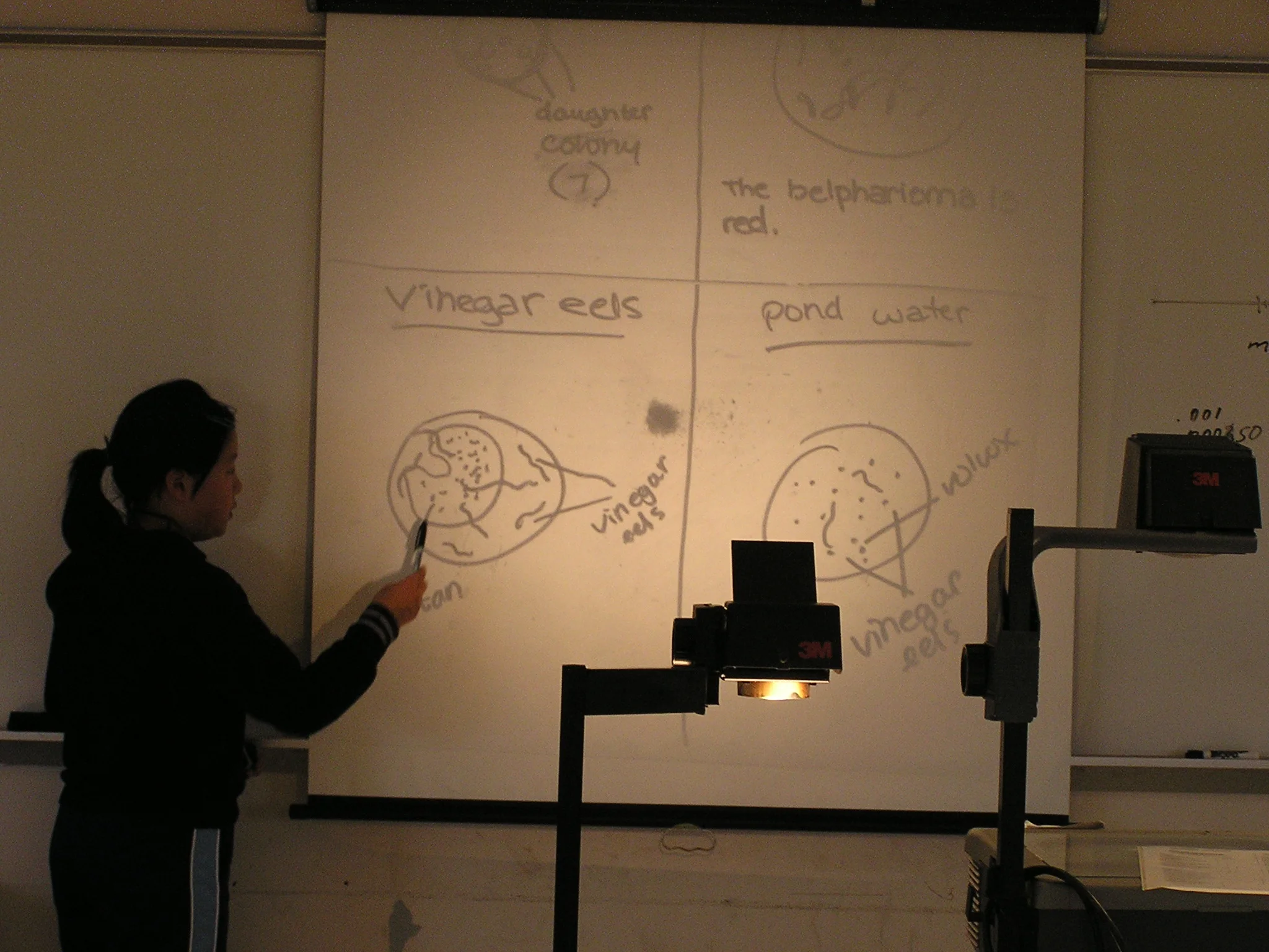 P1010047.JPG