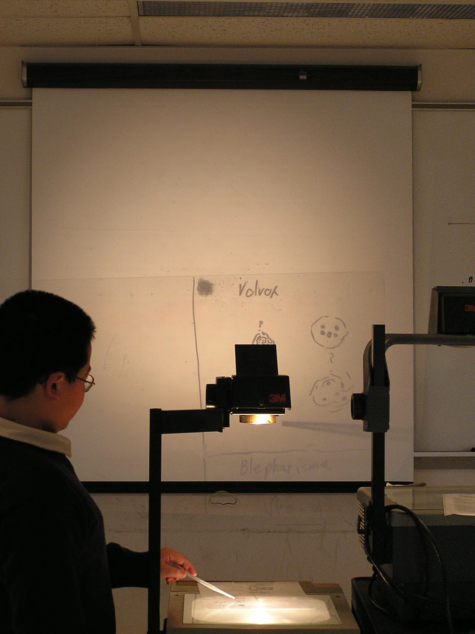 P1010048.JPG