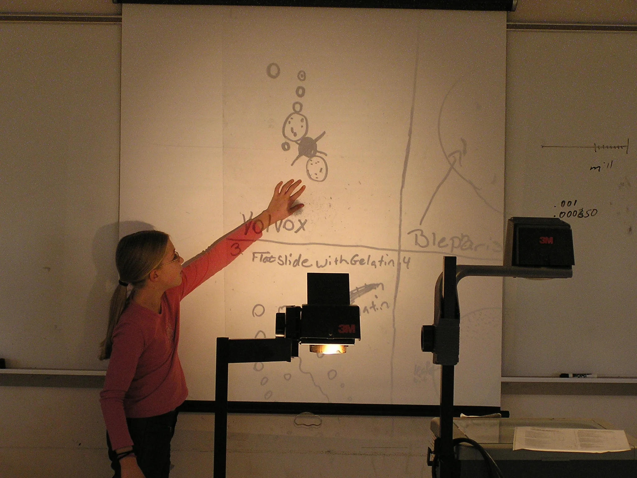 P1010055.JPG