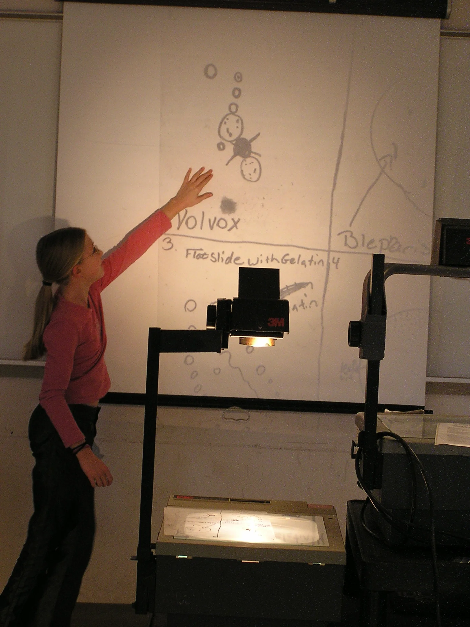 P1010056.JPG