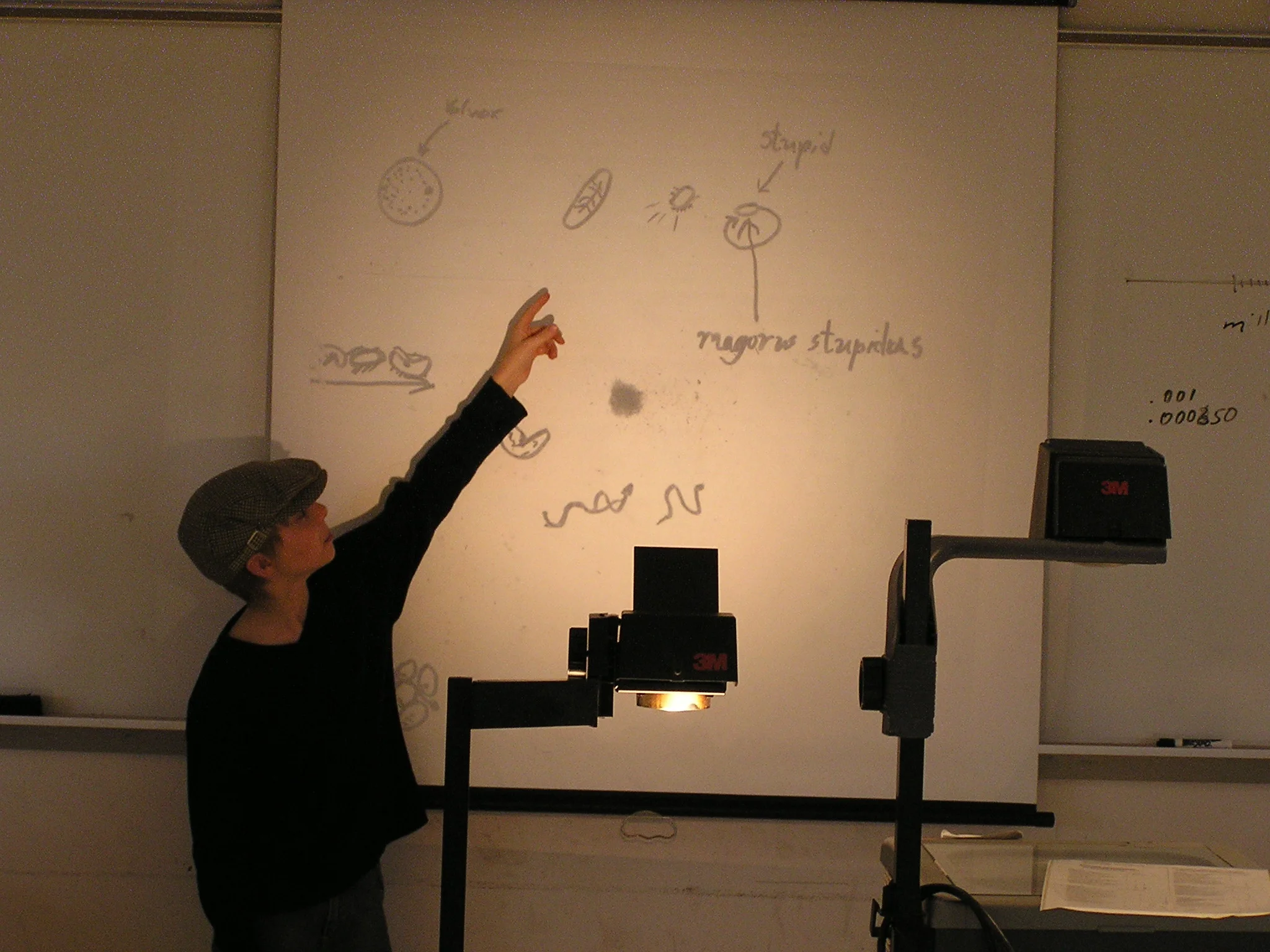 P1010058.JPG