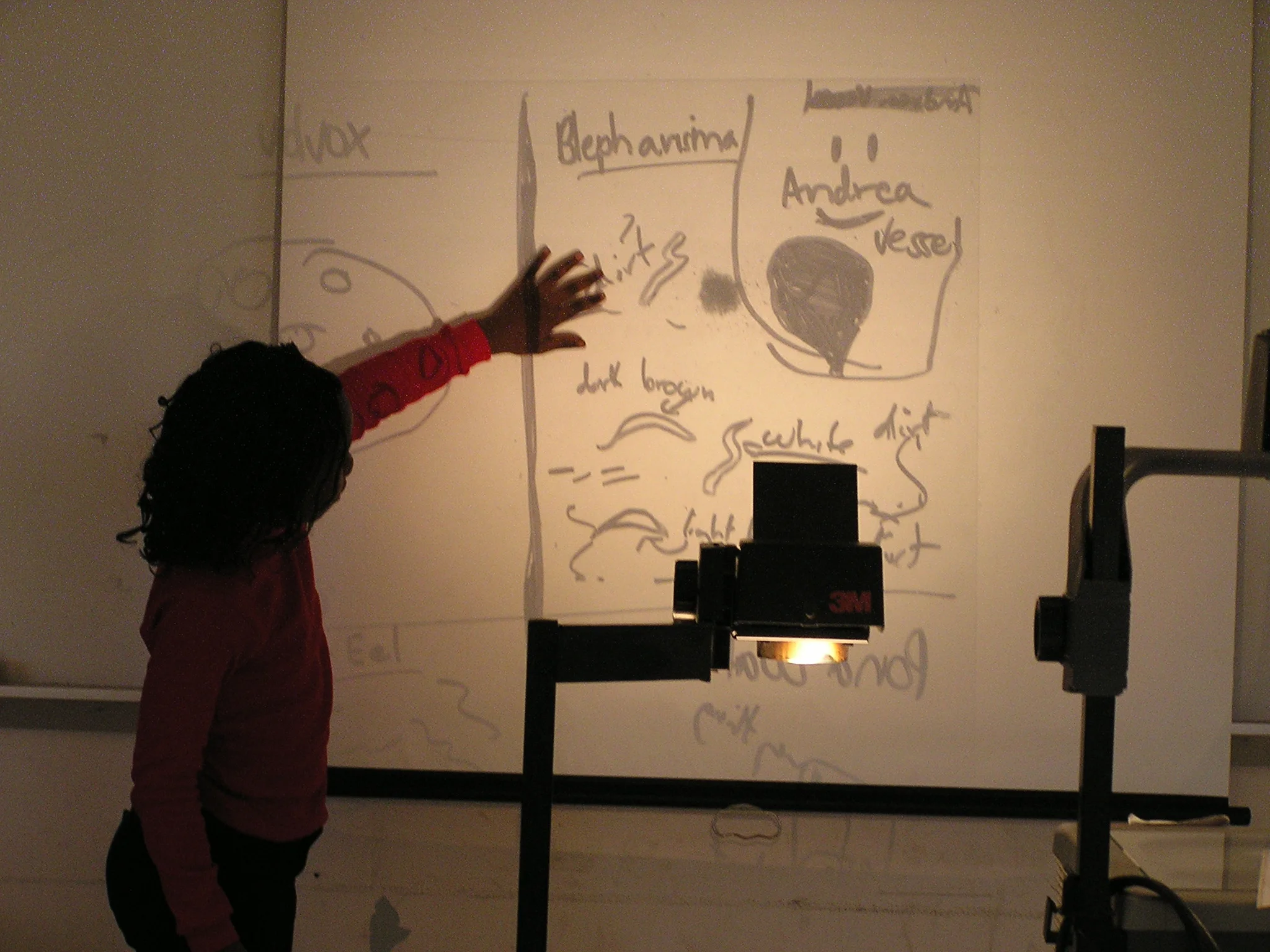 P1010071.JPG