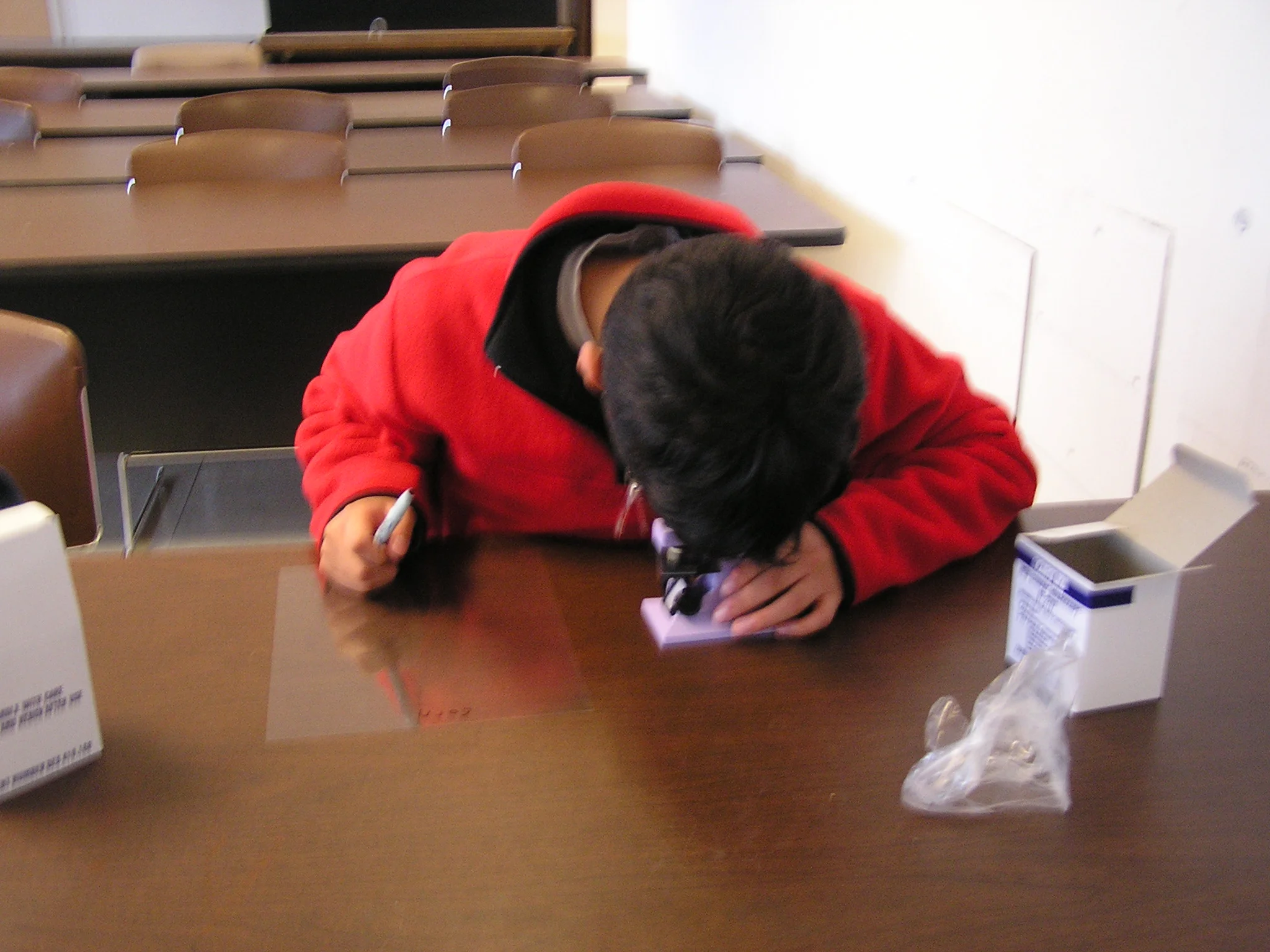 P1010005.JPG