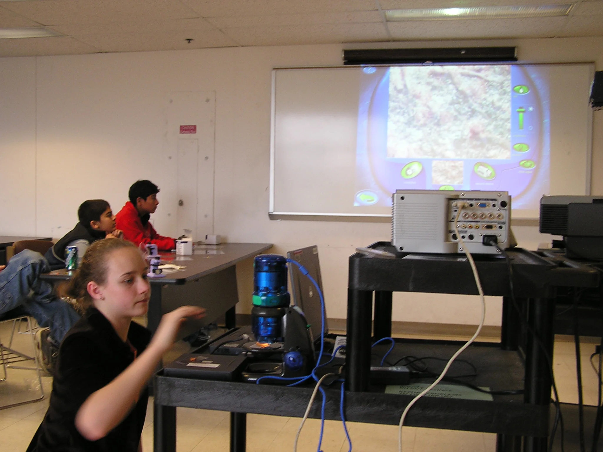 P1010036.JPG