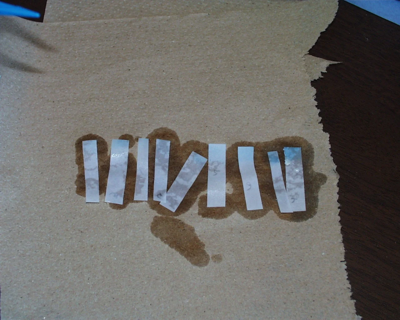 PIC00026 - Copy - Copy.JPG