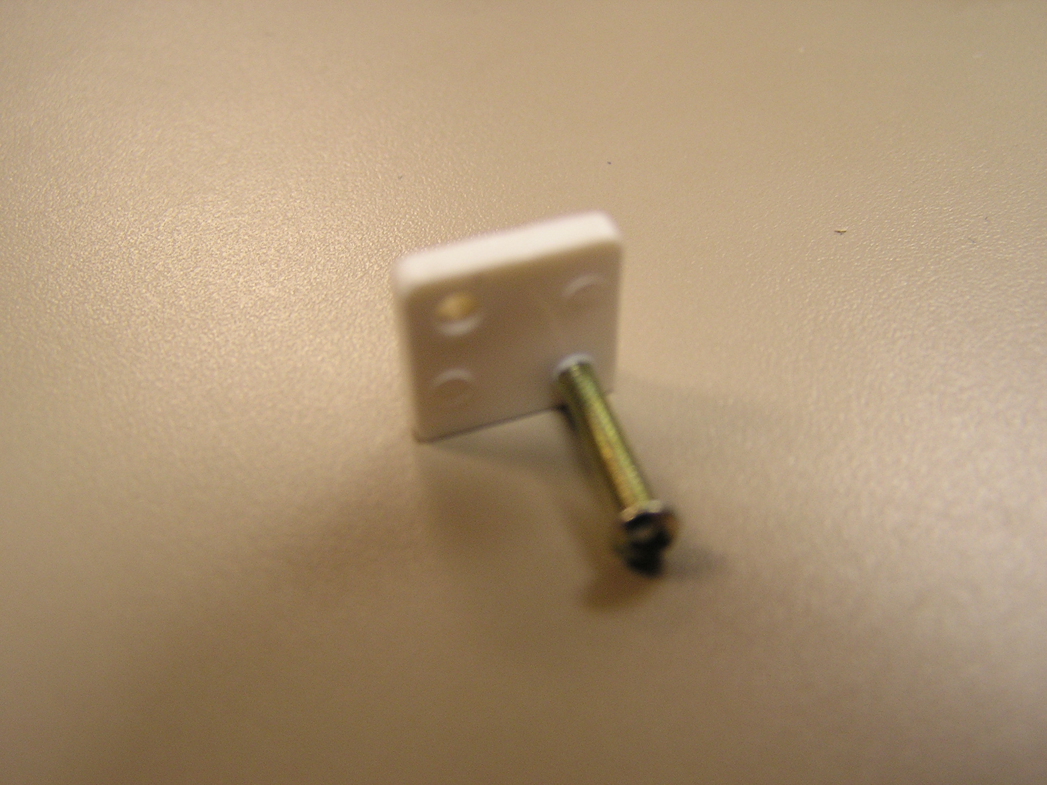 P4020021.JPG