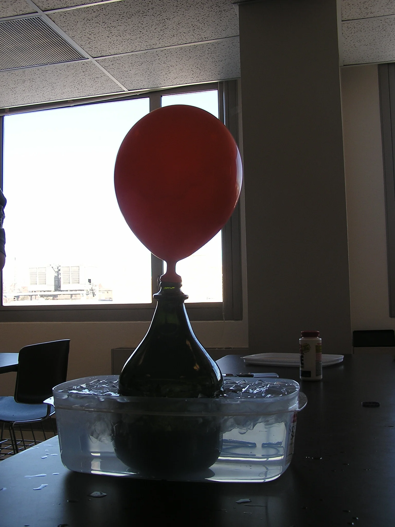P1310073.JPG