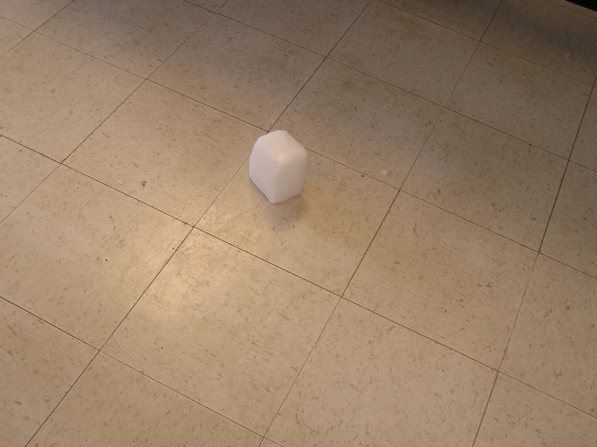 P2070128.JPG