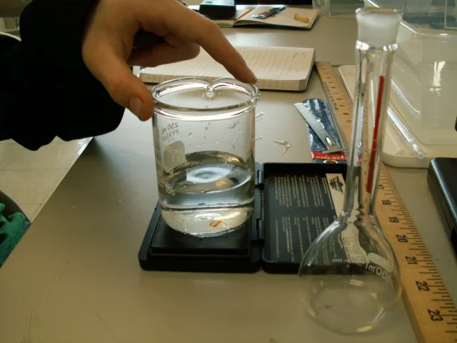 PICT0132.JPG
