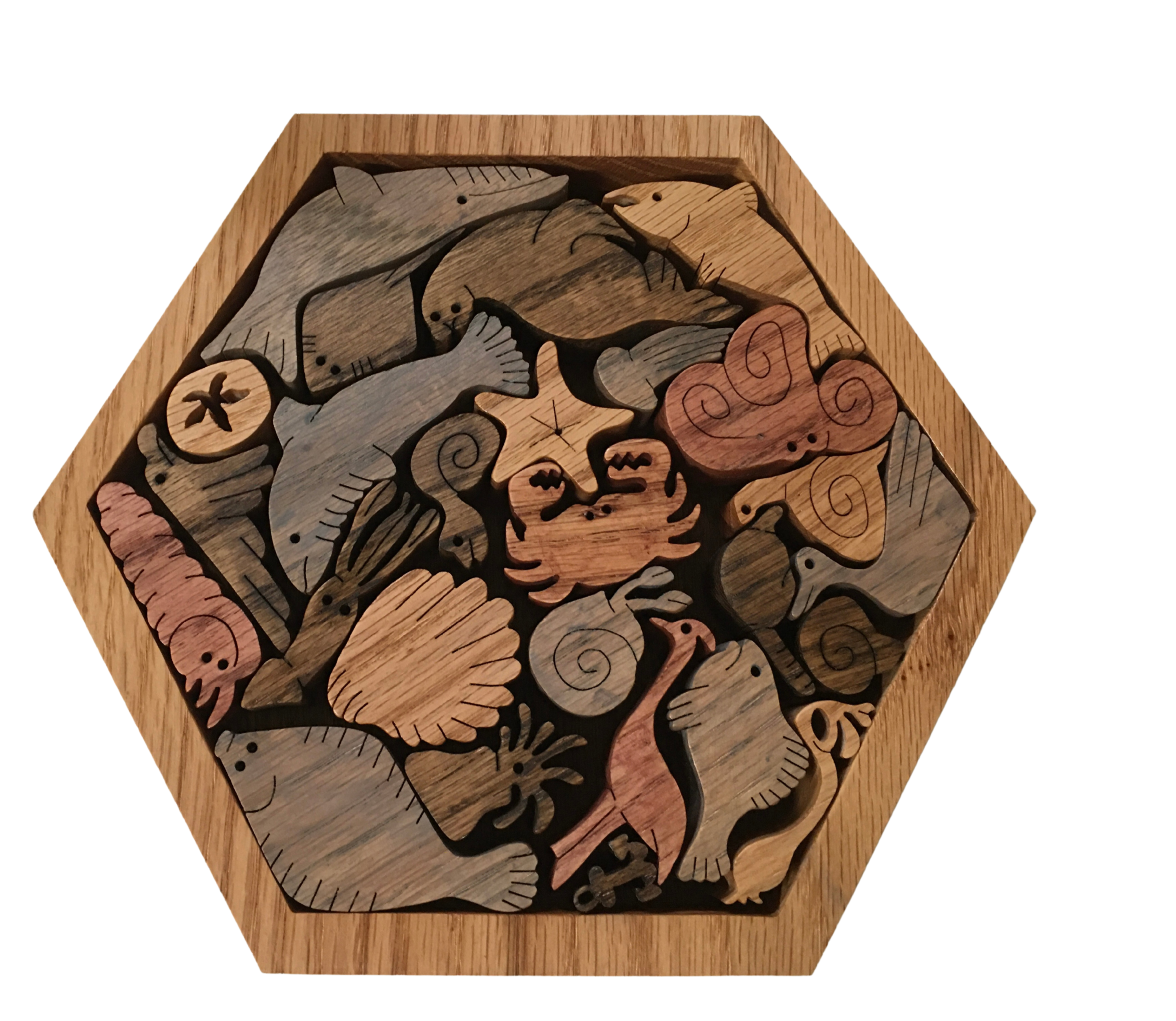 fish puzzle.png