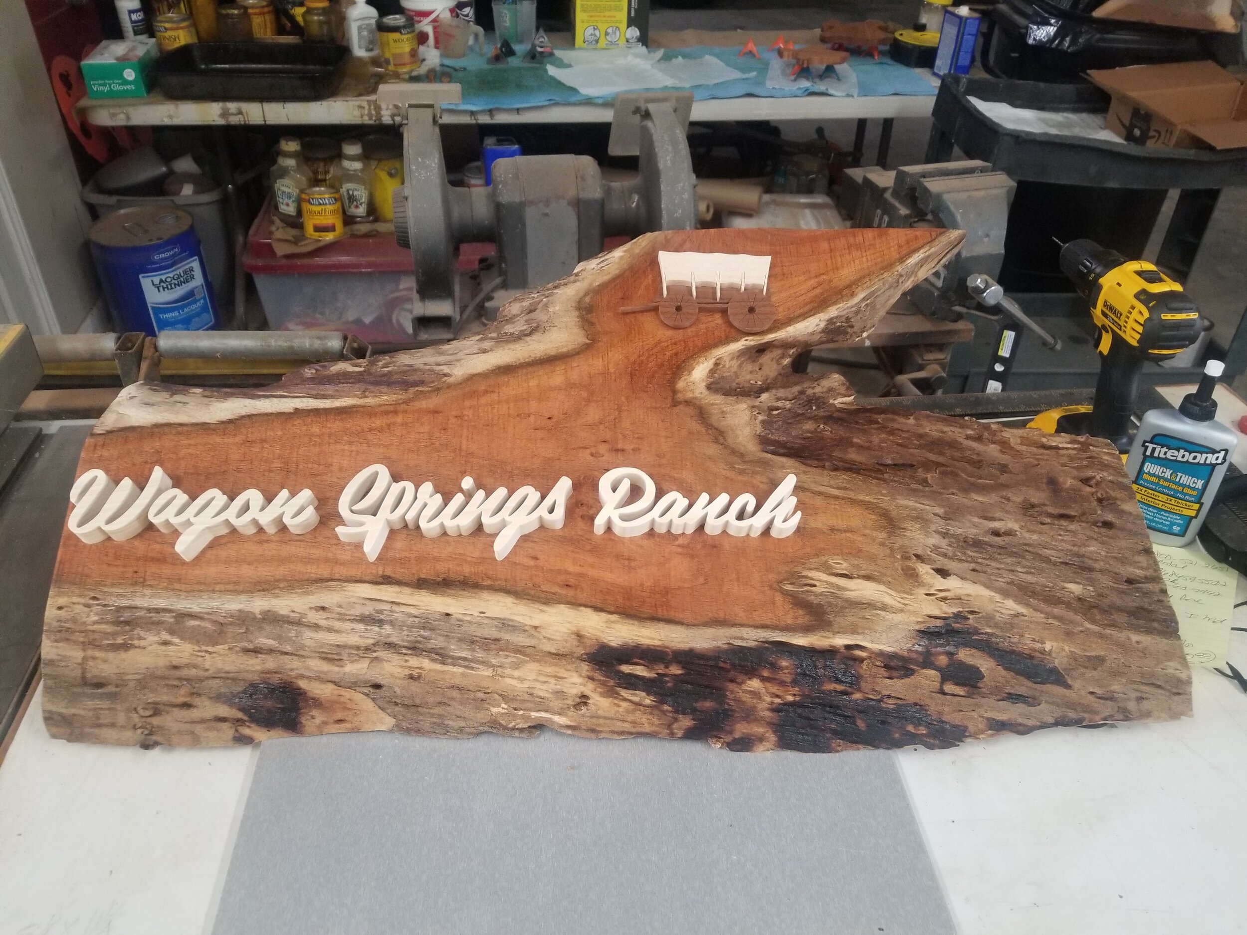 Wagon Springs Ranch sign.JPG