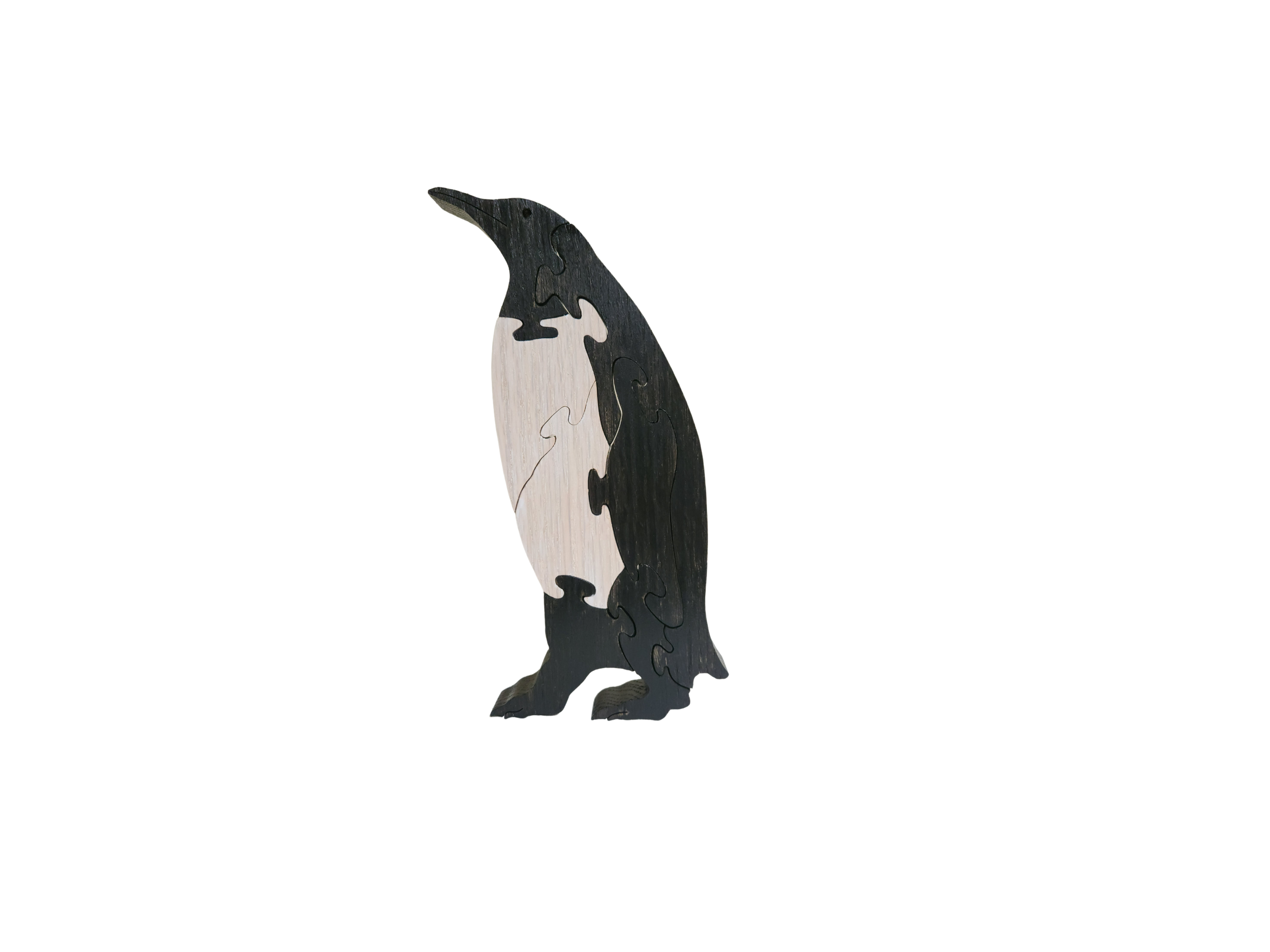 penguin medium classic.png