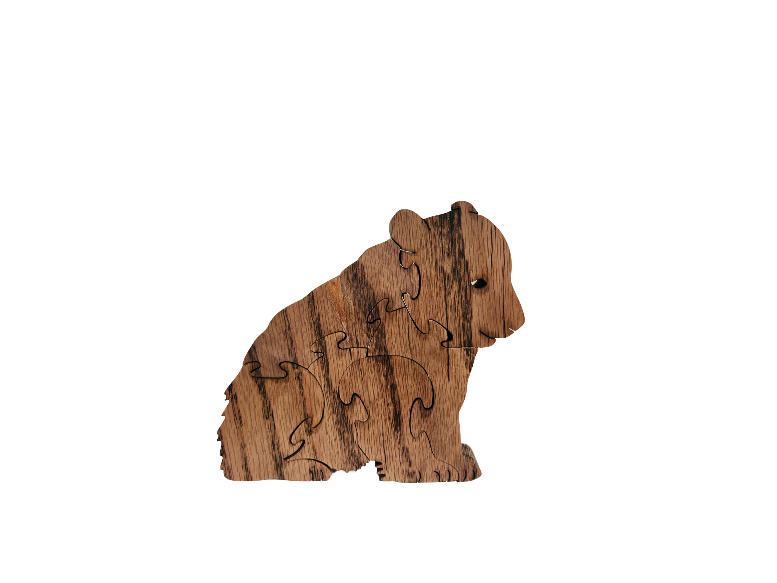 Bear Cub
