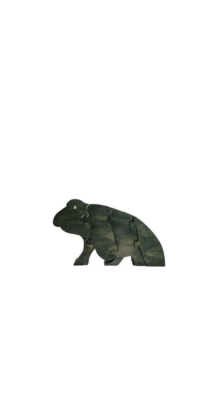 frog%2Bclassic.jpg