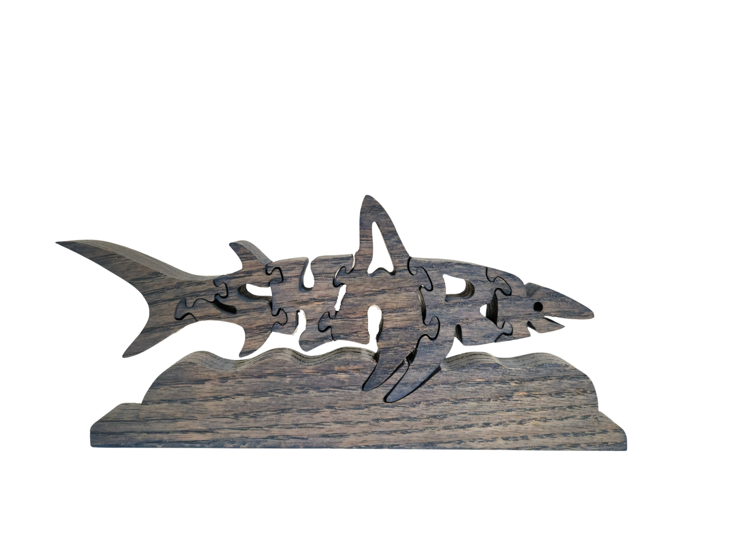 shark puzzle.png