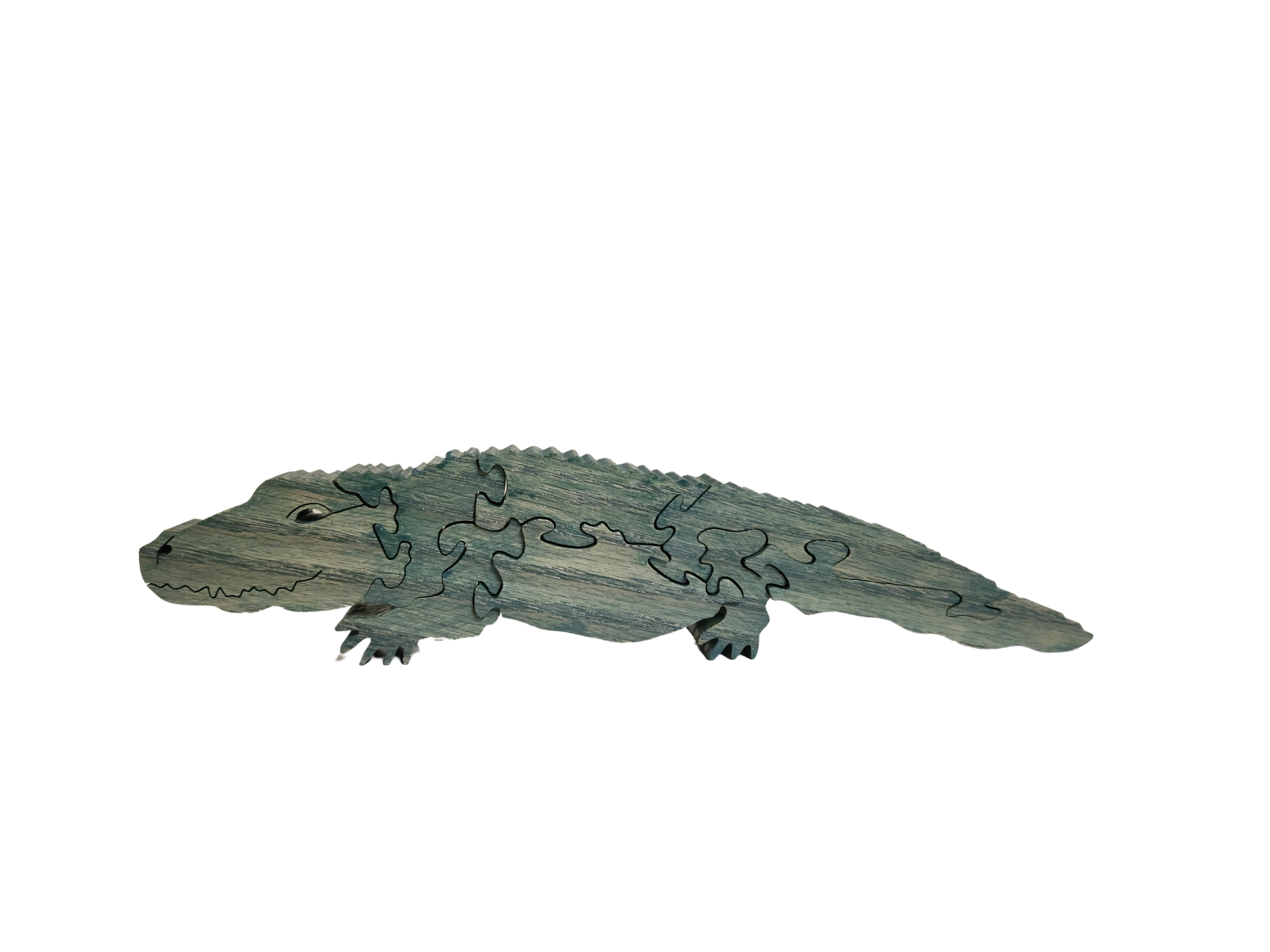 alligator 3.png