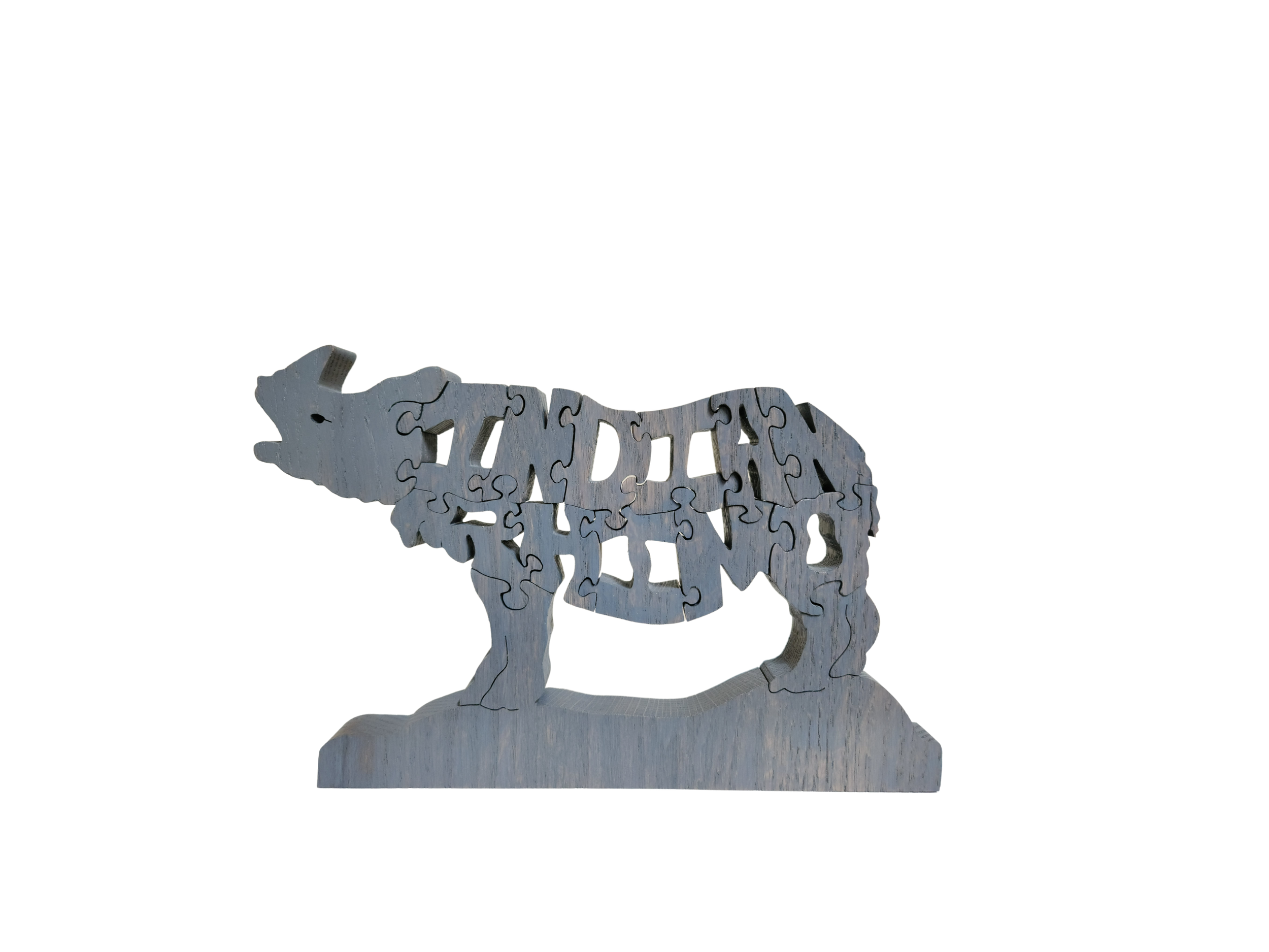 Indian Rhino Word Puzzle