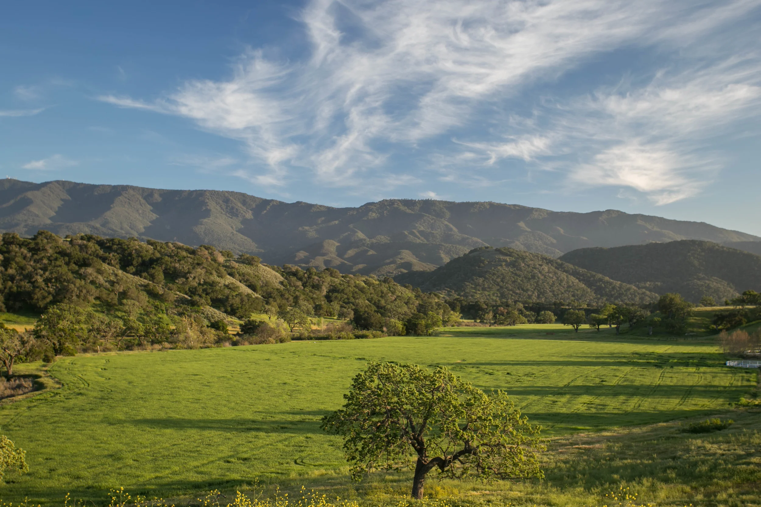 The house overlooks 19 acres of oat hay bordering the creek that can easily fit a full size polo field