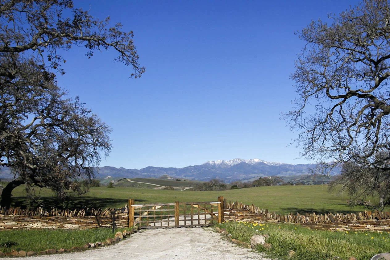 Entry Gate 3.jpg