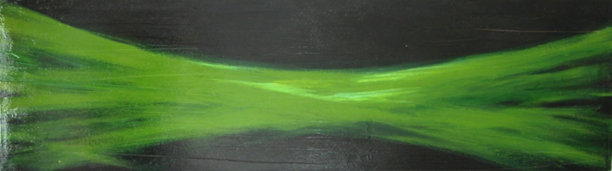 FREEDOM BROKEN acrylic and gloss on canvas, 2009