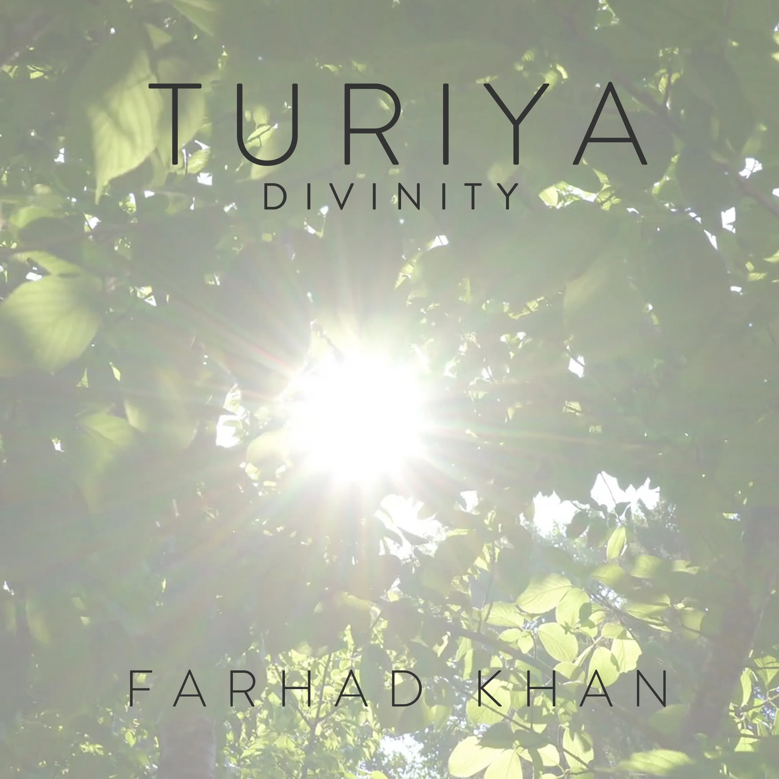 Farhad-Khan_TURIYA_Divinity-trees.jpg