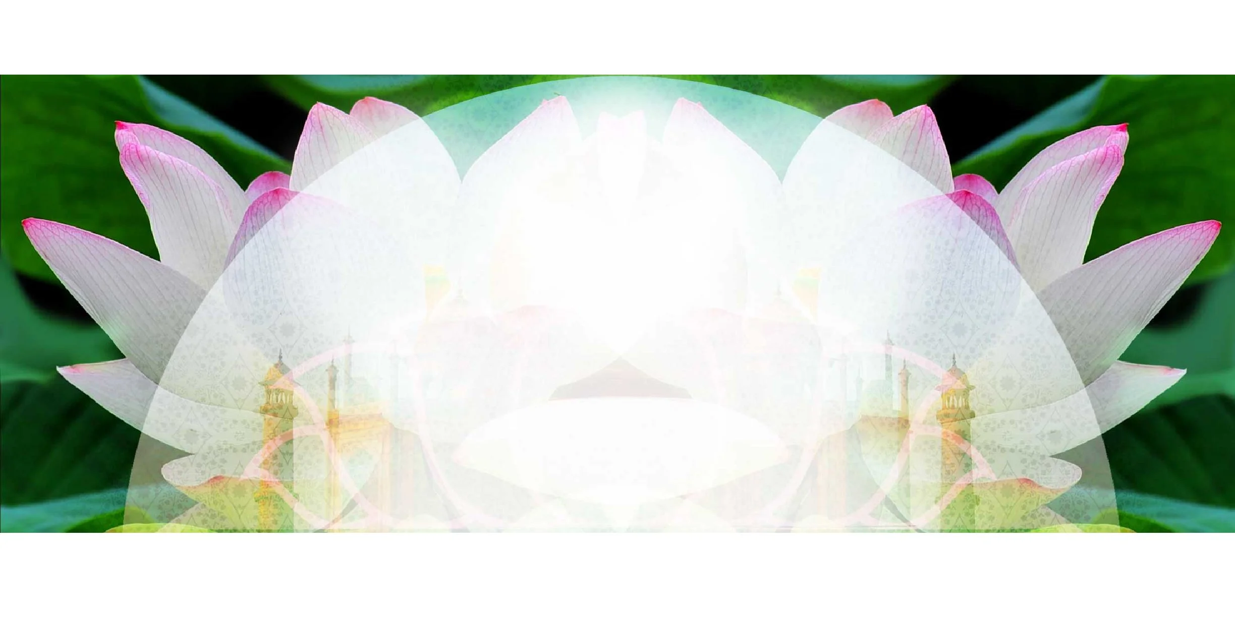 Case-Studies_Maa-Yoga-artboard- 3.jpg