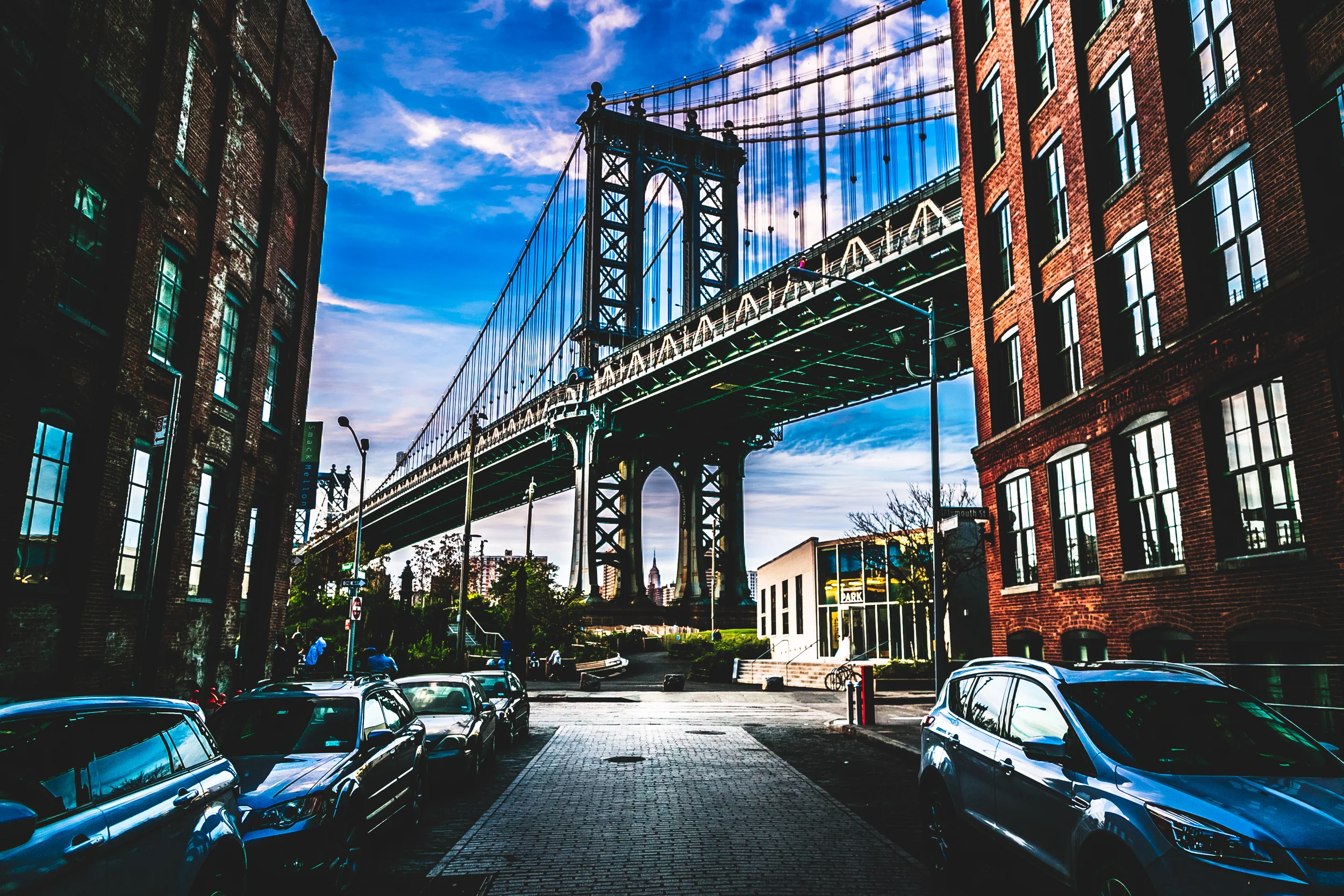 Dumbo print (1 of 1).jpg