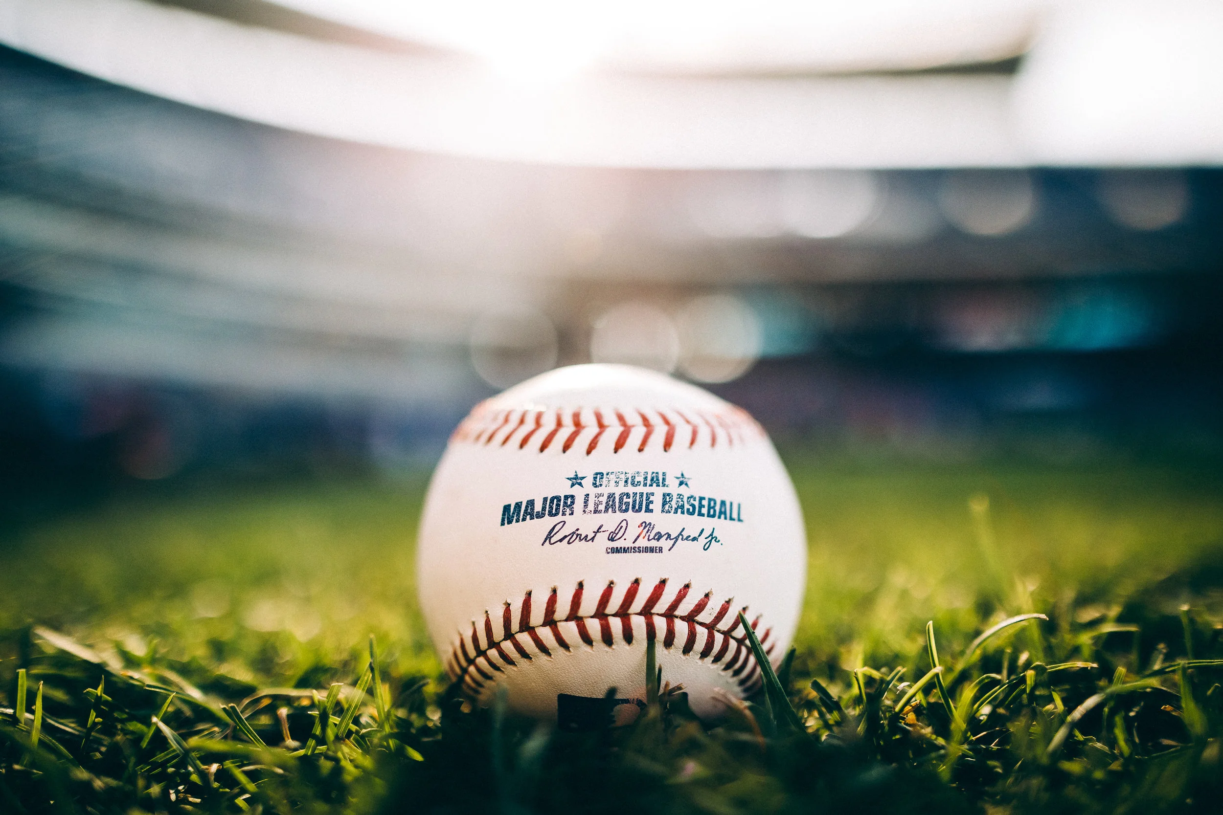 The Yard (1 of 1).jpg