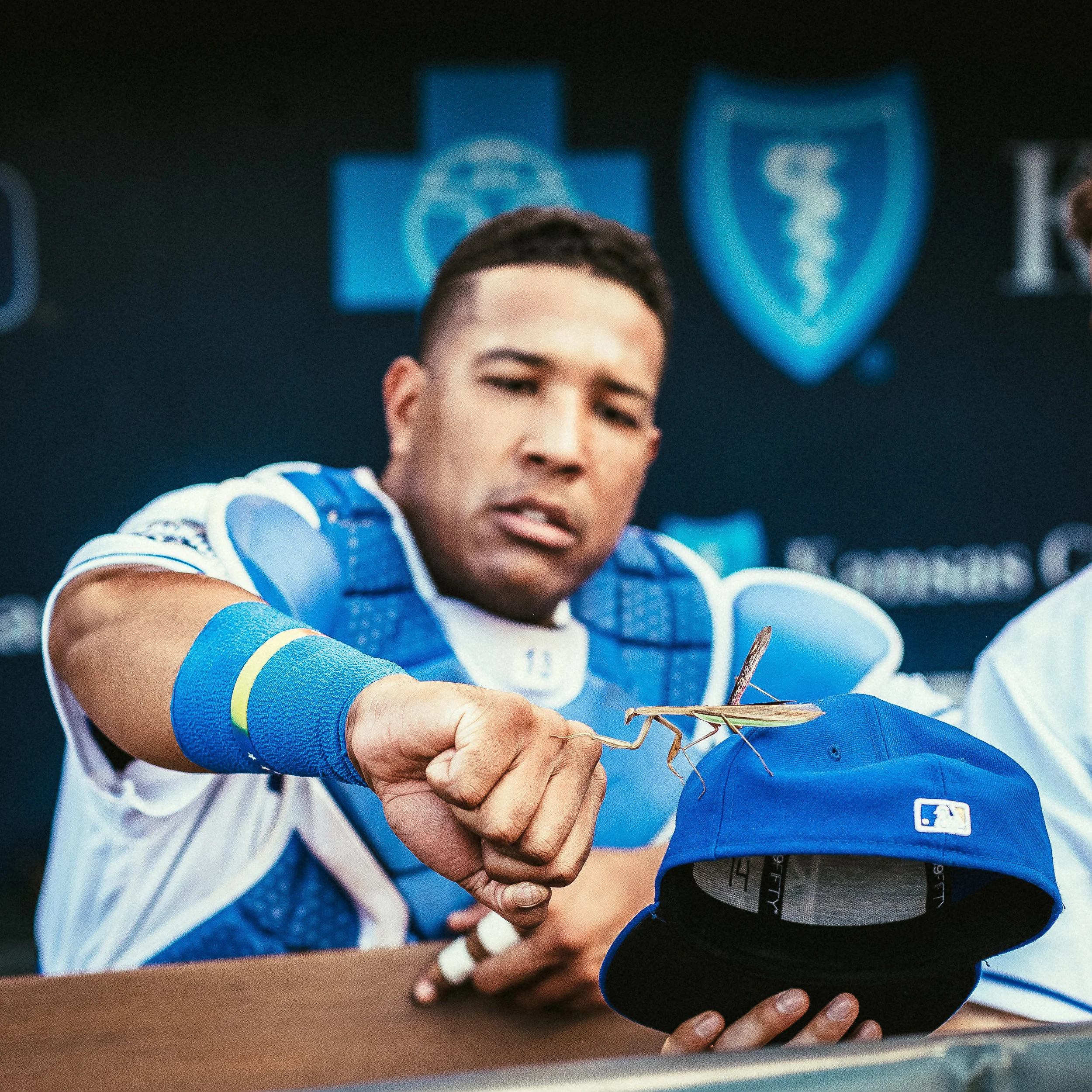 salvy and the mantis (1 of 1).jpg