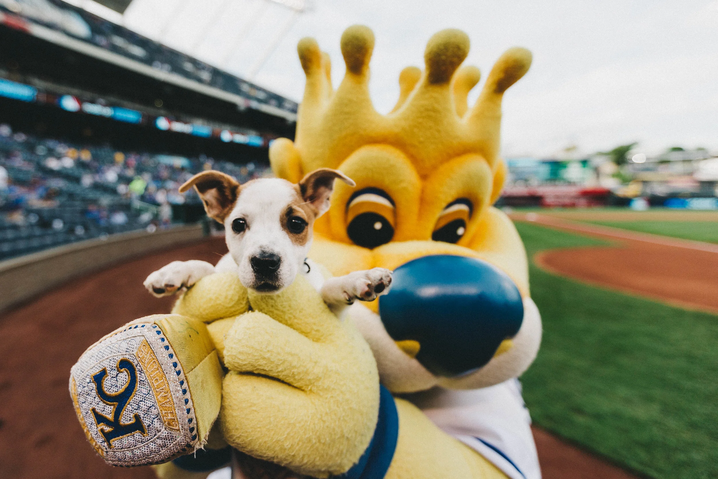 SluggerrrPup.jpg
