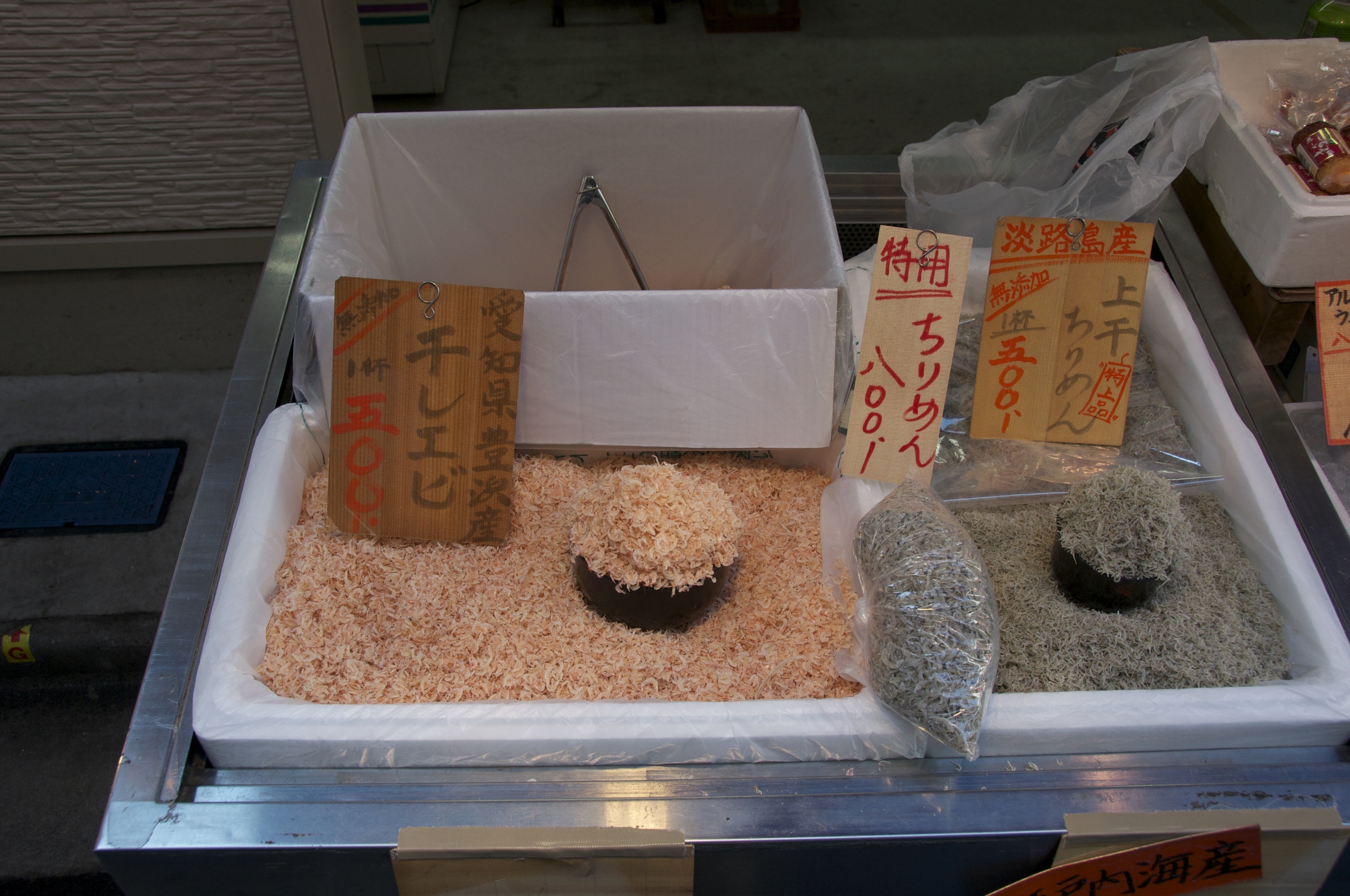 TKL_9308.jpg