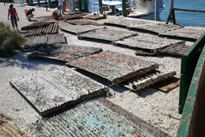 Illegally placed casitas after removal from the Florida Keys National Marine Sanctuary. Photo courtesy FKNMS/NOAA.