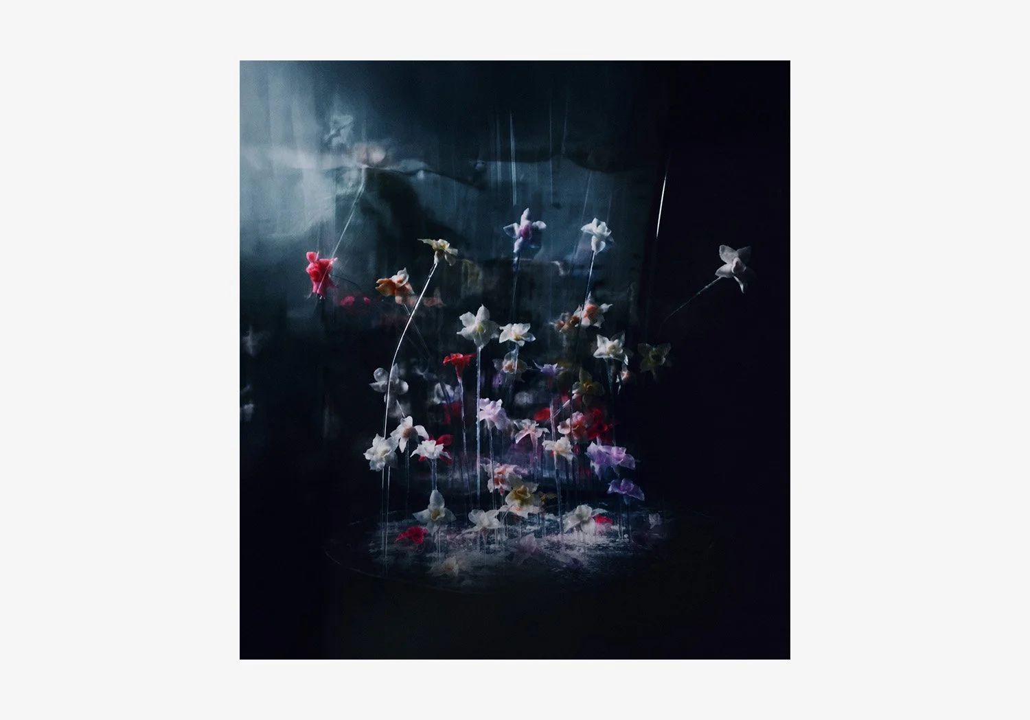 DANIEL_ARCHER_WAX_FLOWERS_01.jpg