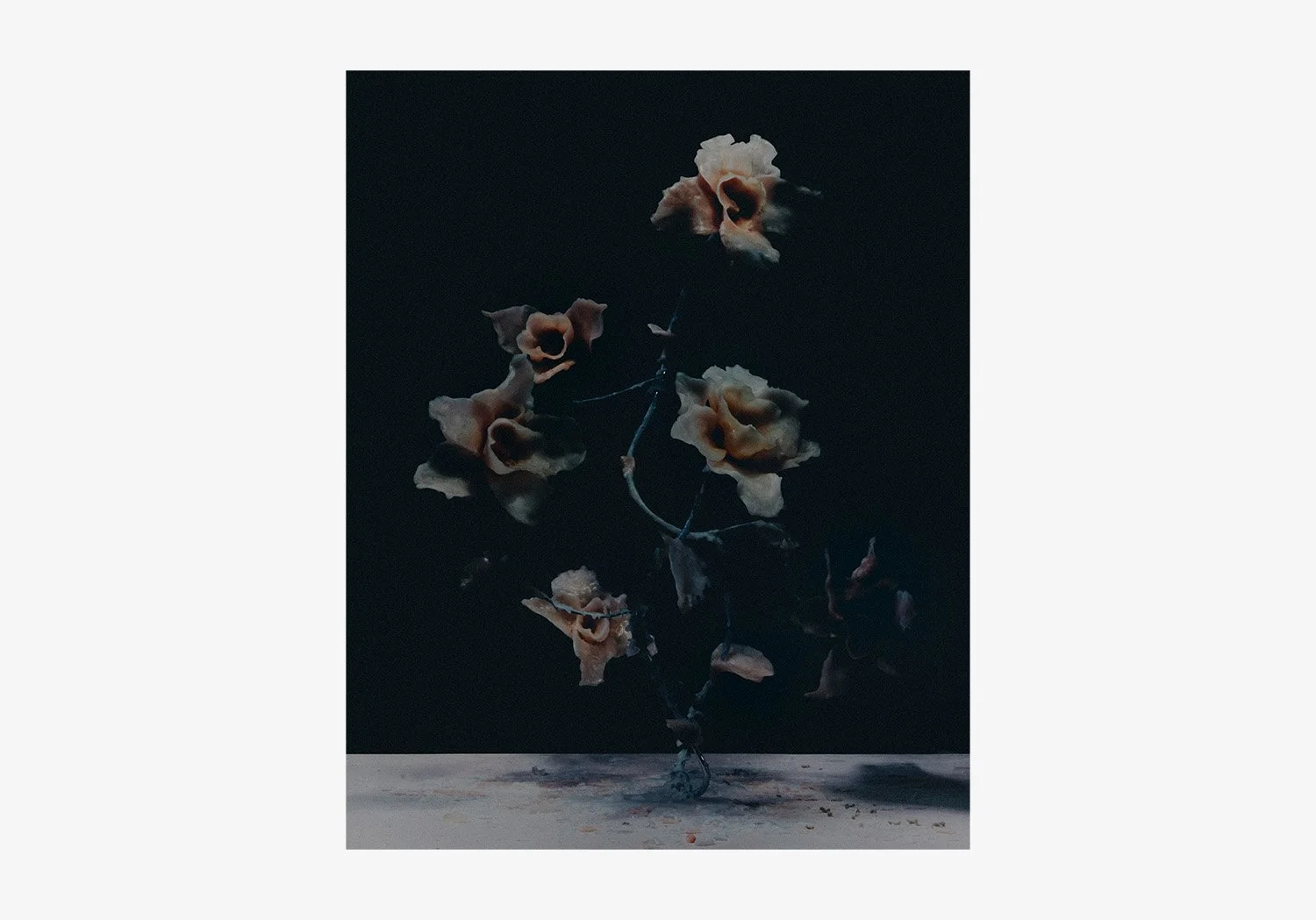 DANIEL_ARCHER_WAX_FLOWERS_06.jpg