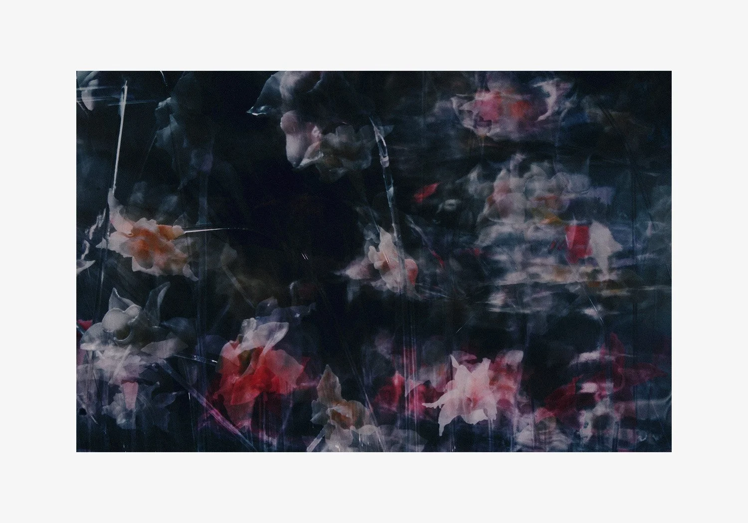 DANIEL_ARCHER_WAX_FLOWERS_02.jpg