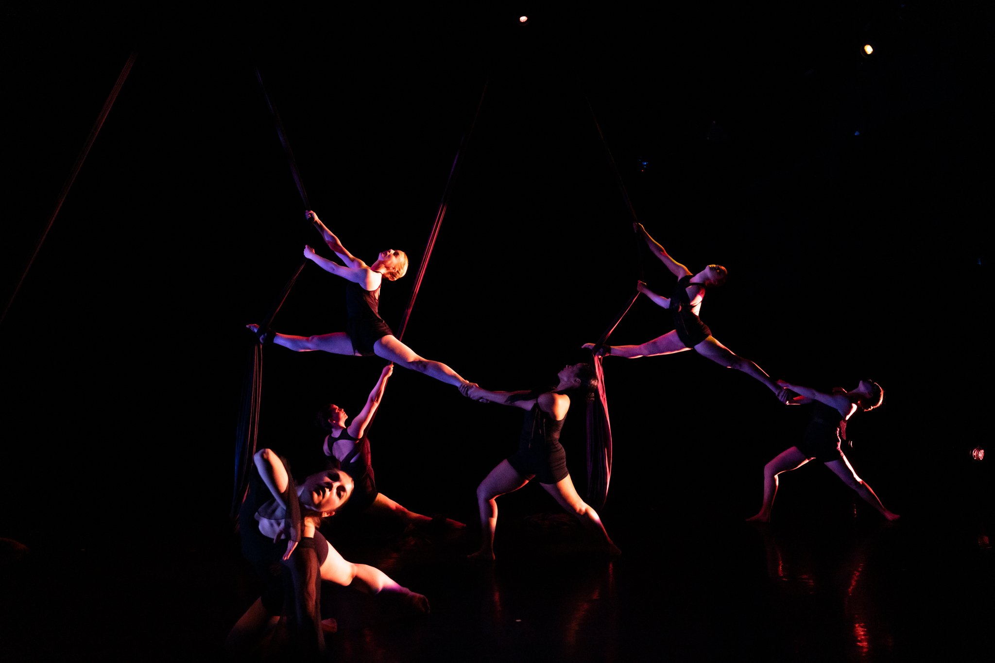 ADC-Stardust2025-630Michelle Reid.jpg