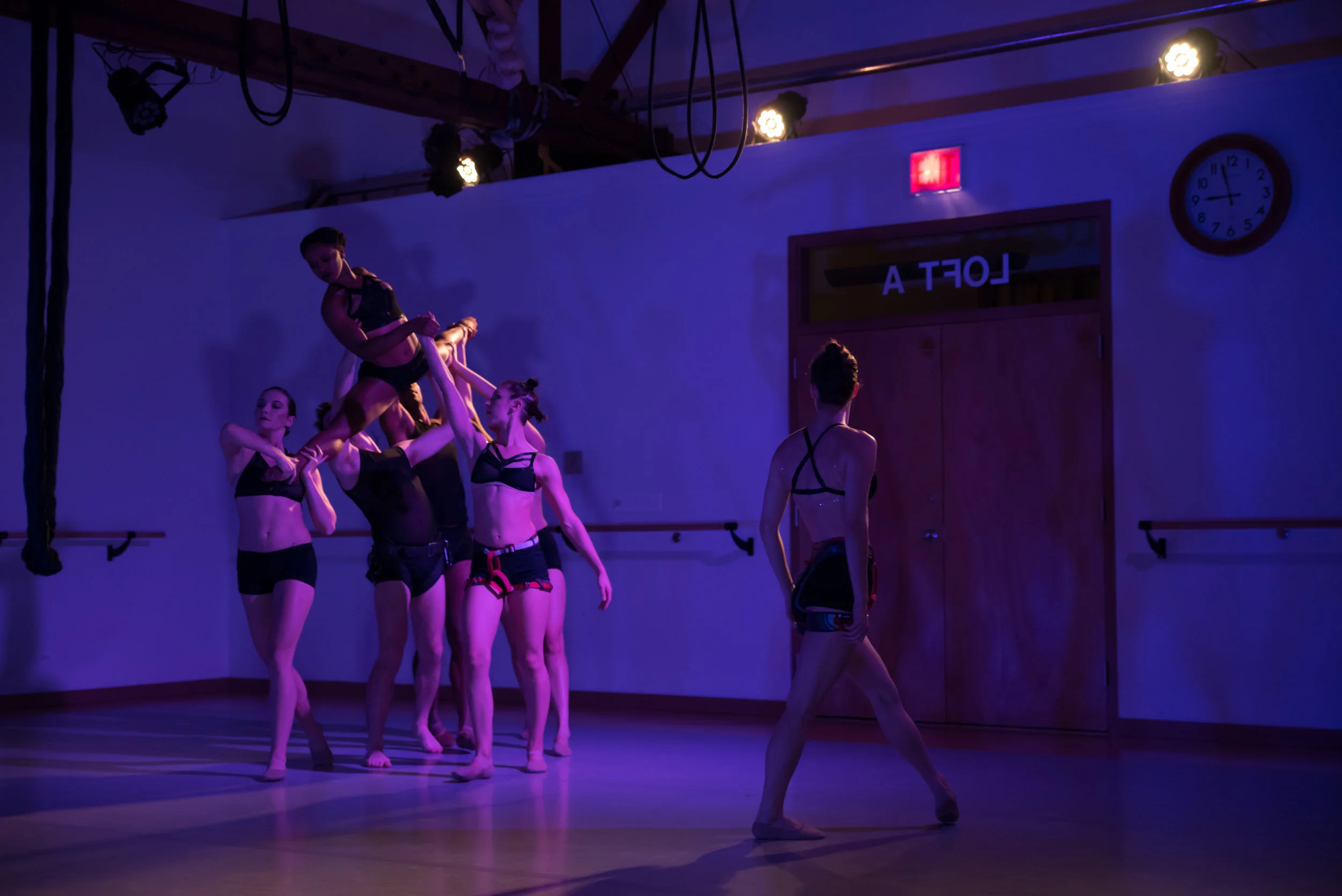 aerial dance chicago-5877.jpg